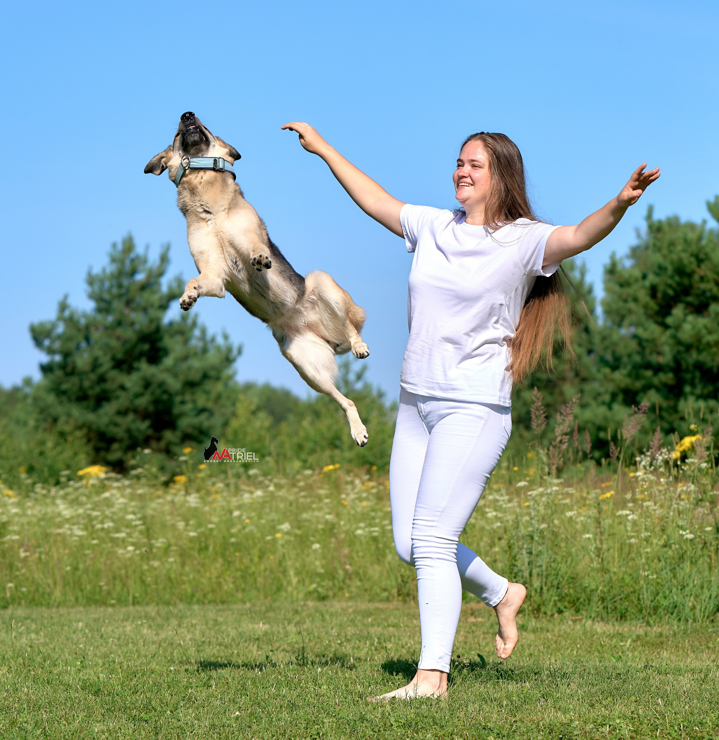 Обидиенс и танцы с собаками — галерея NATRIEL
