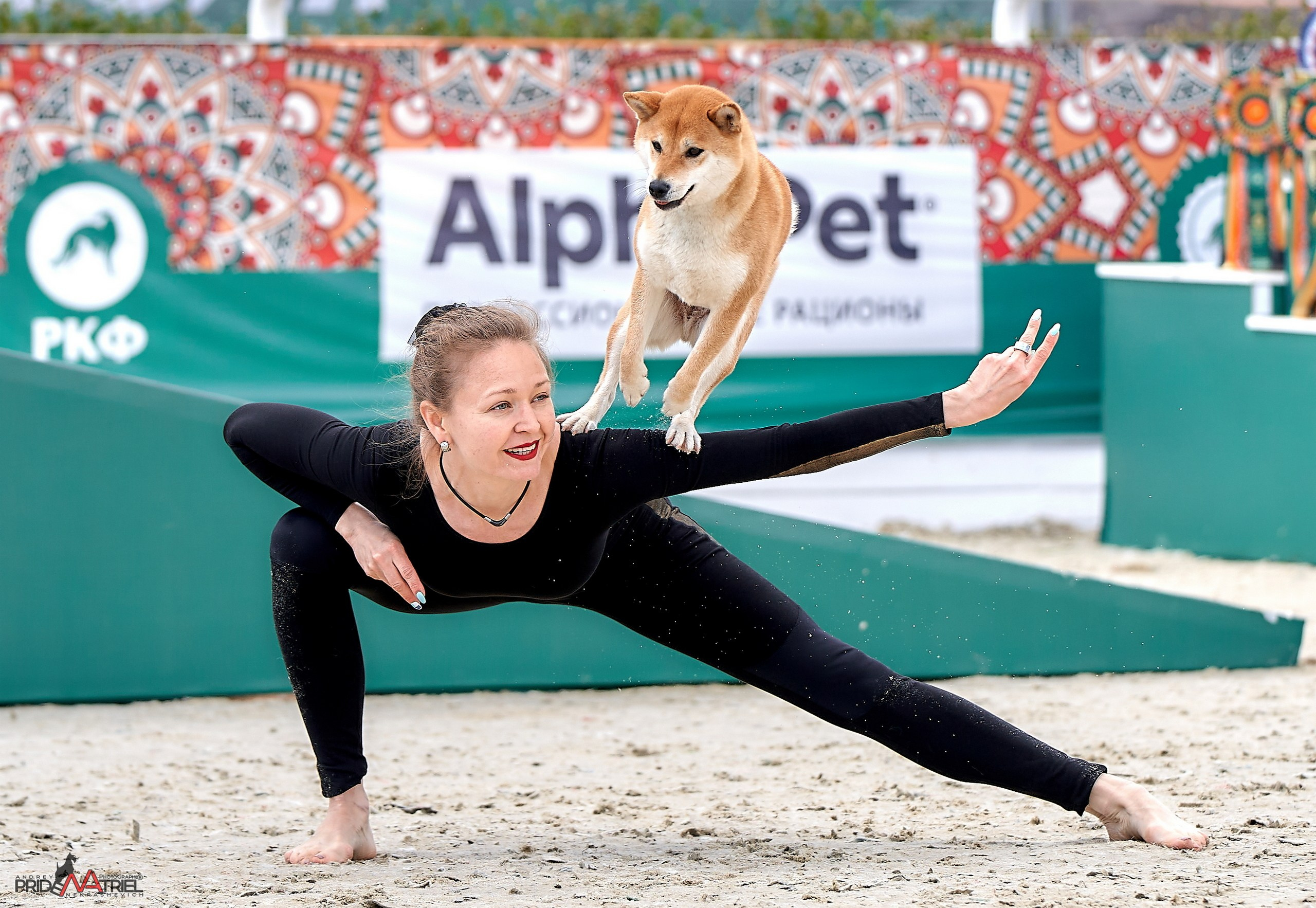 Обидиенс и танцы с собаками — галерея NATRIEL