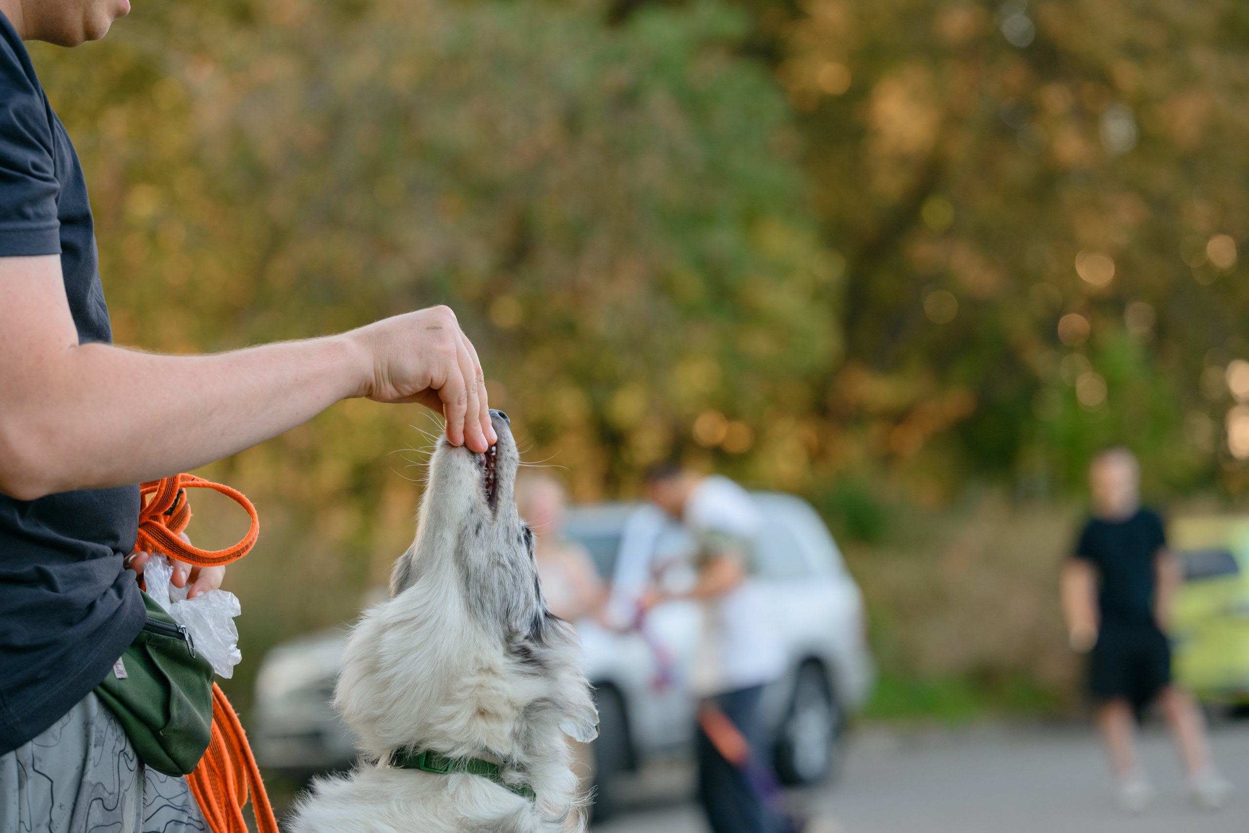 Катя группа. Семейный фотограф и анималист в Москве и Московской области
