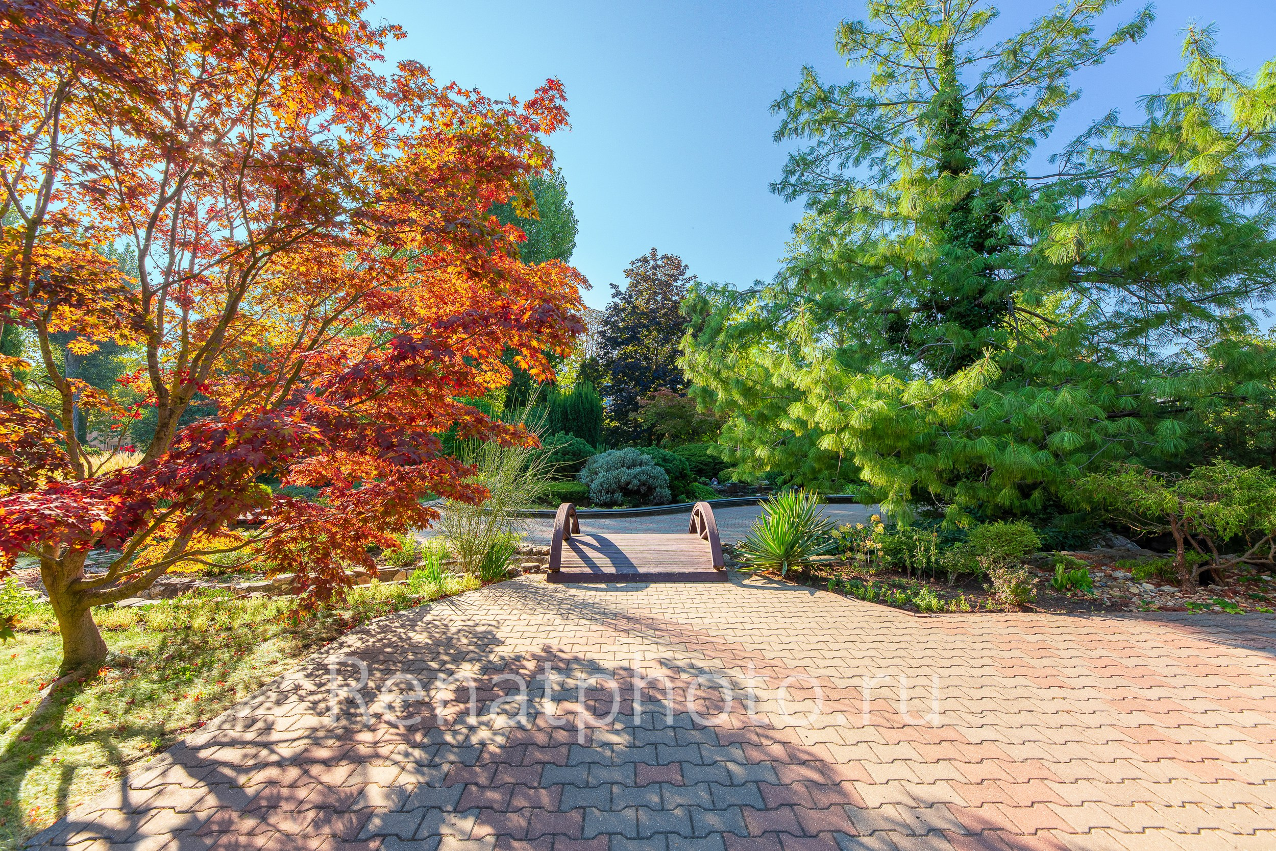 Renatphoto-интерьерная фотосъемка в краснодаре. Профессиональная фотосъёмка интерьеров, предметная фотосессия еды для меню г. Анапа