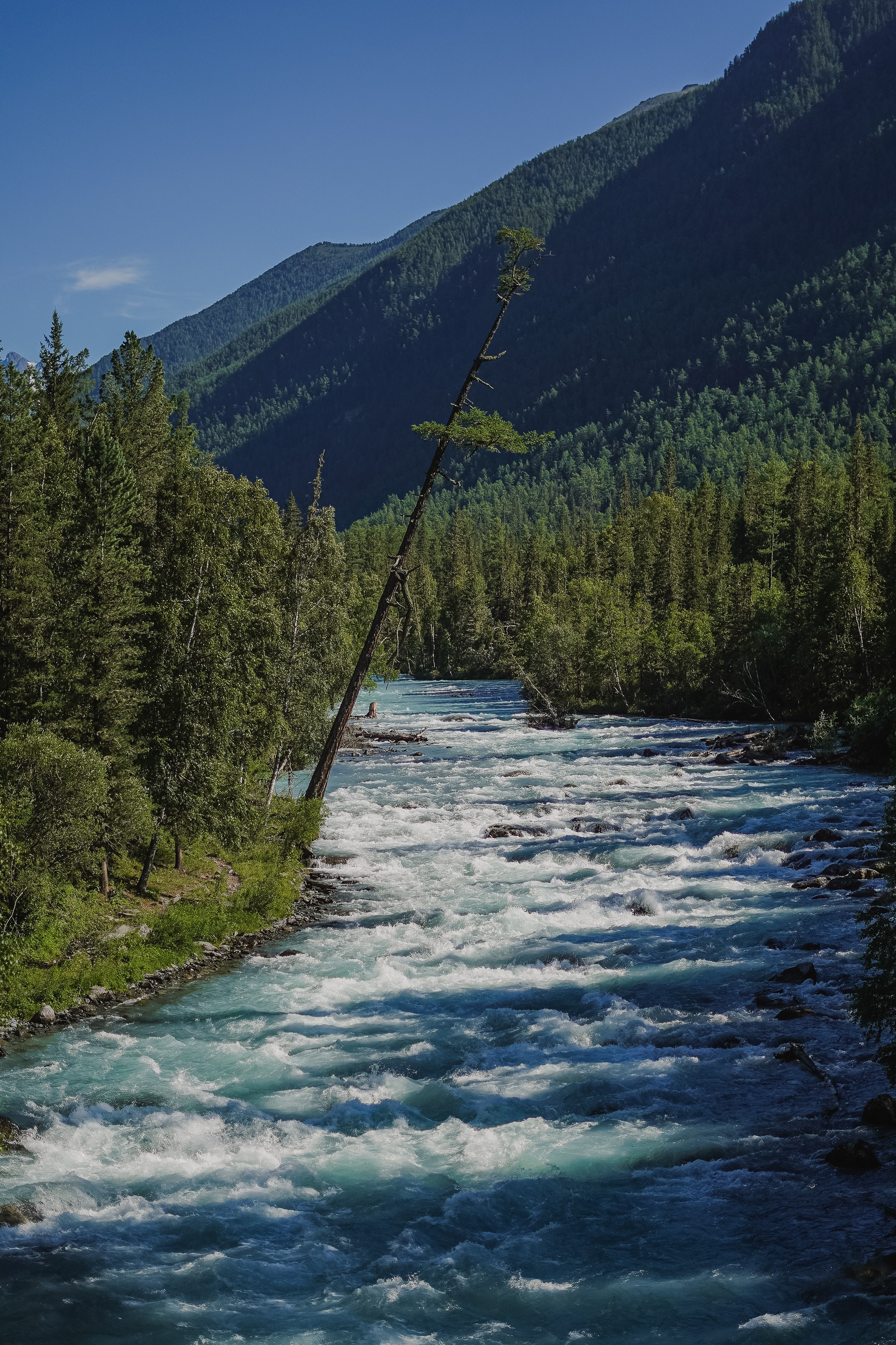 Алтай, поход к Белухе 2023. Фотограф Ольга Пучкова