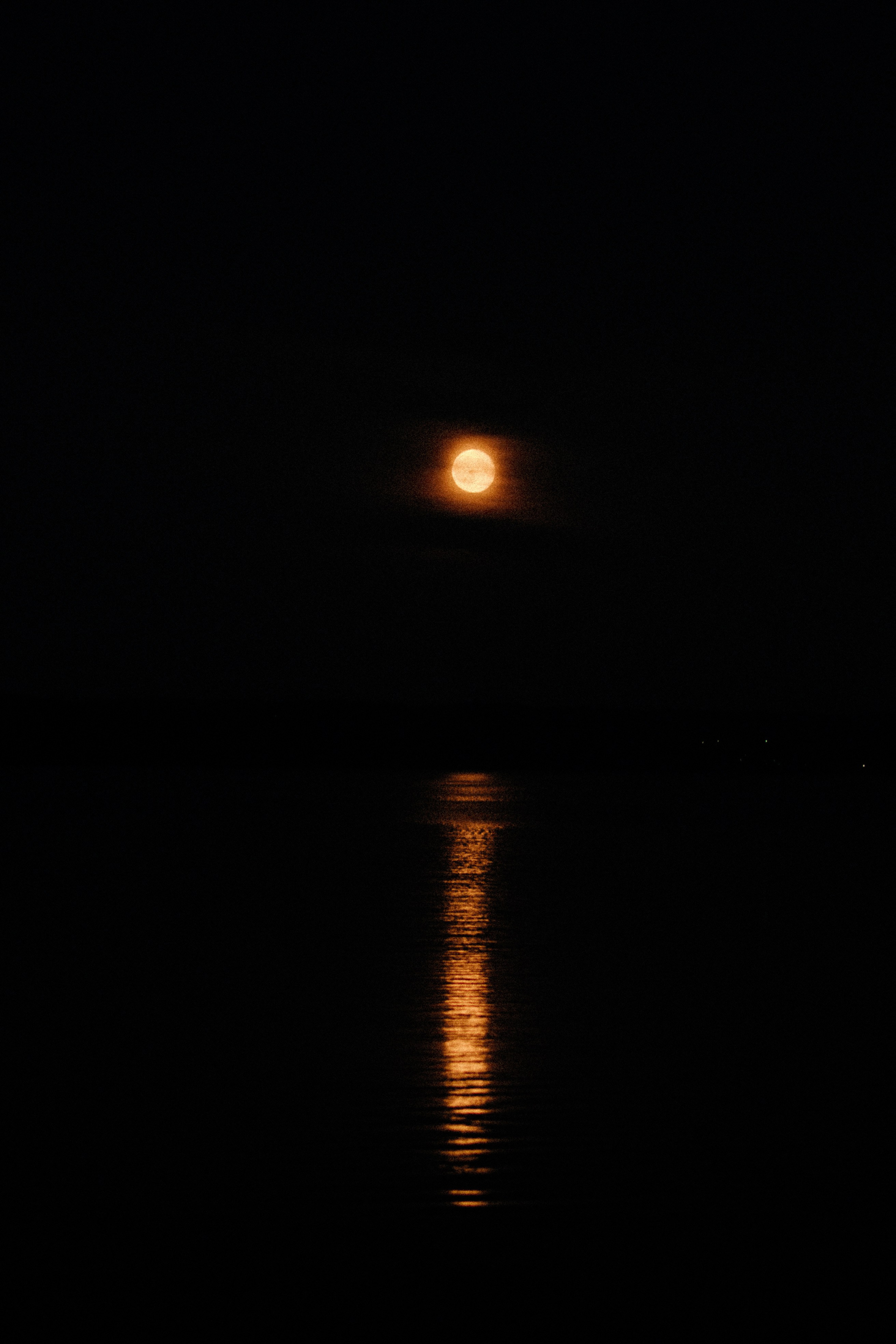 R&K. Фотограф Москва Никита Воробьев