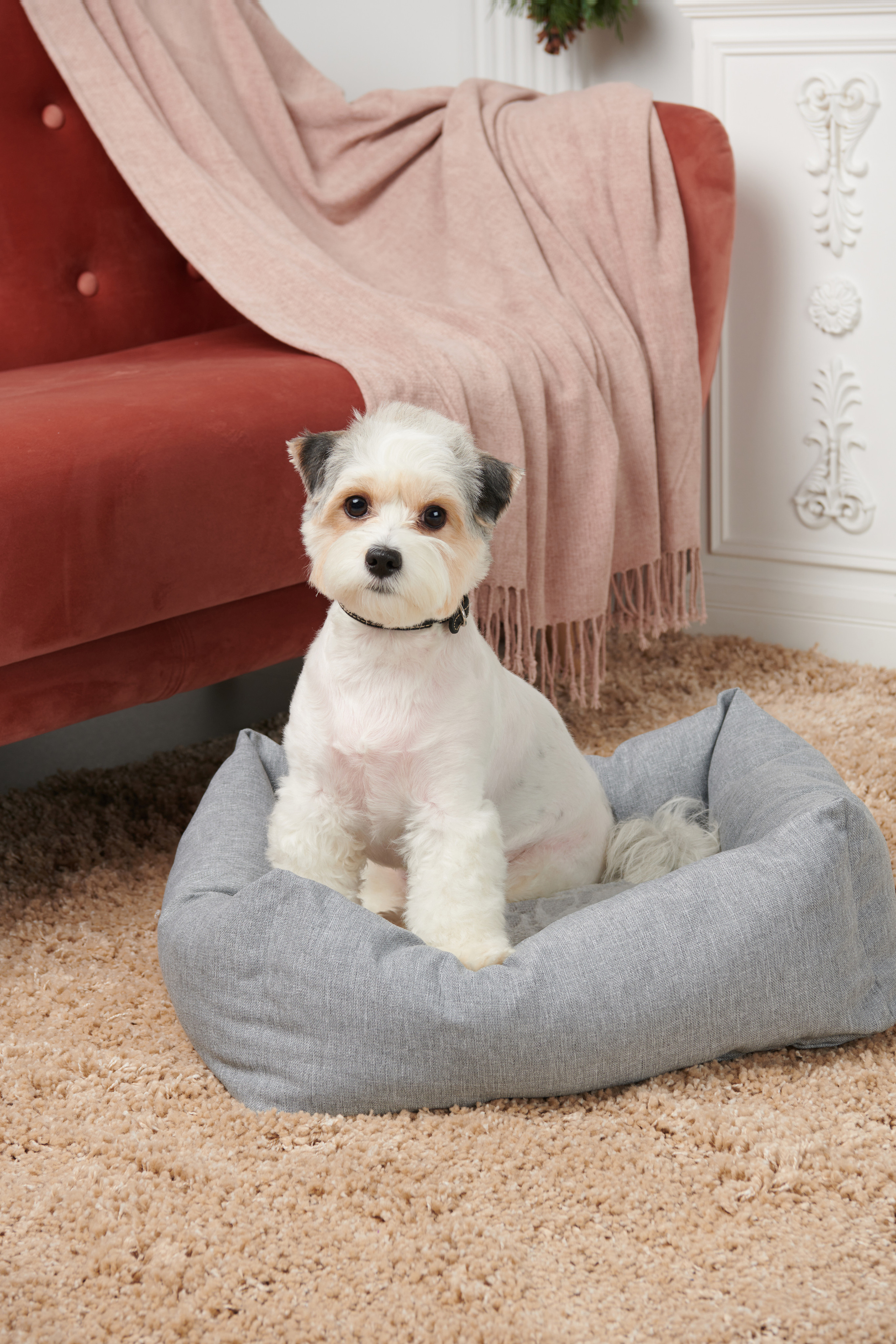 фото для маркетплейсов 