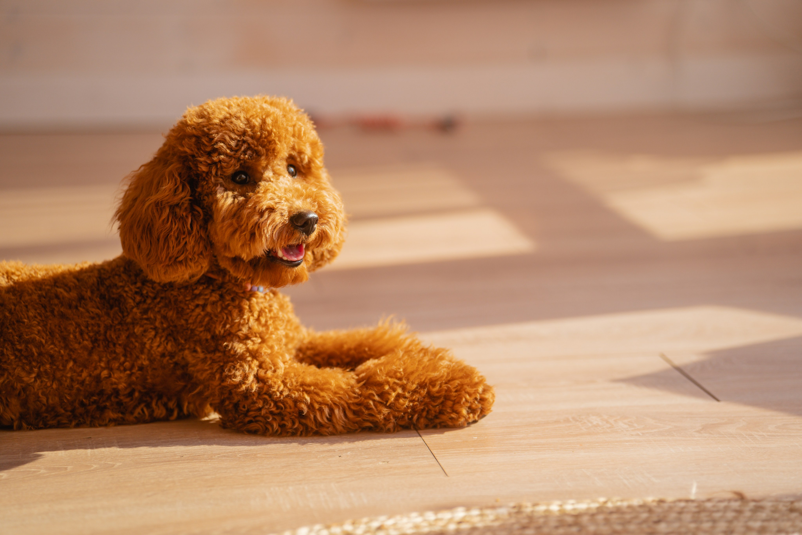 Летние смены. Владислав Кожух | Фотограф | Видеограф | Режиссёр