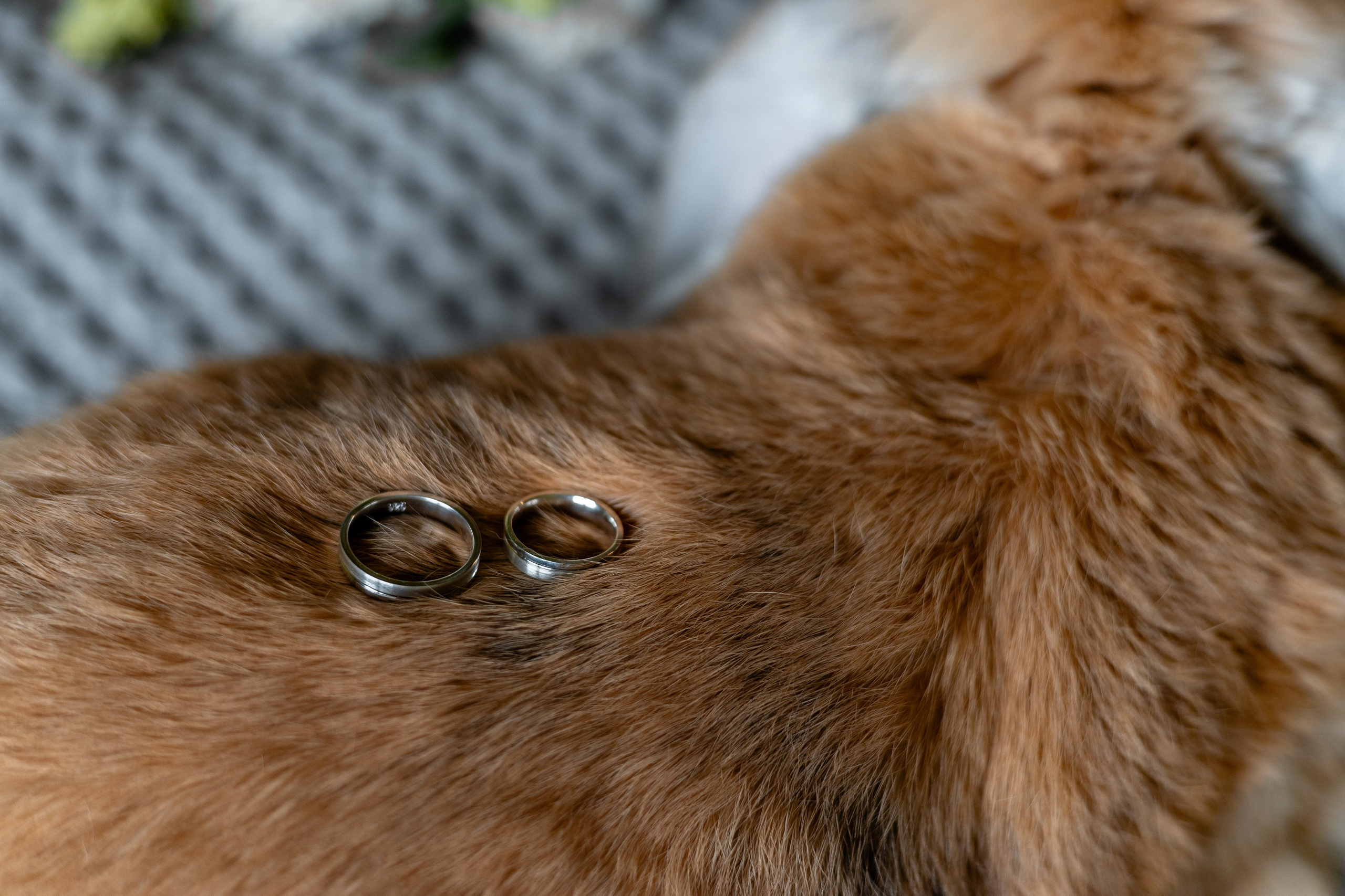 Николай и Ольга | Черняховск, Понарт, замок Инстербург. Фотограф Елена Медок Калининград