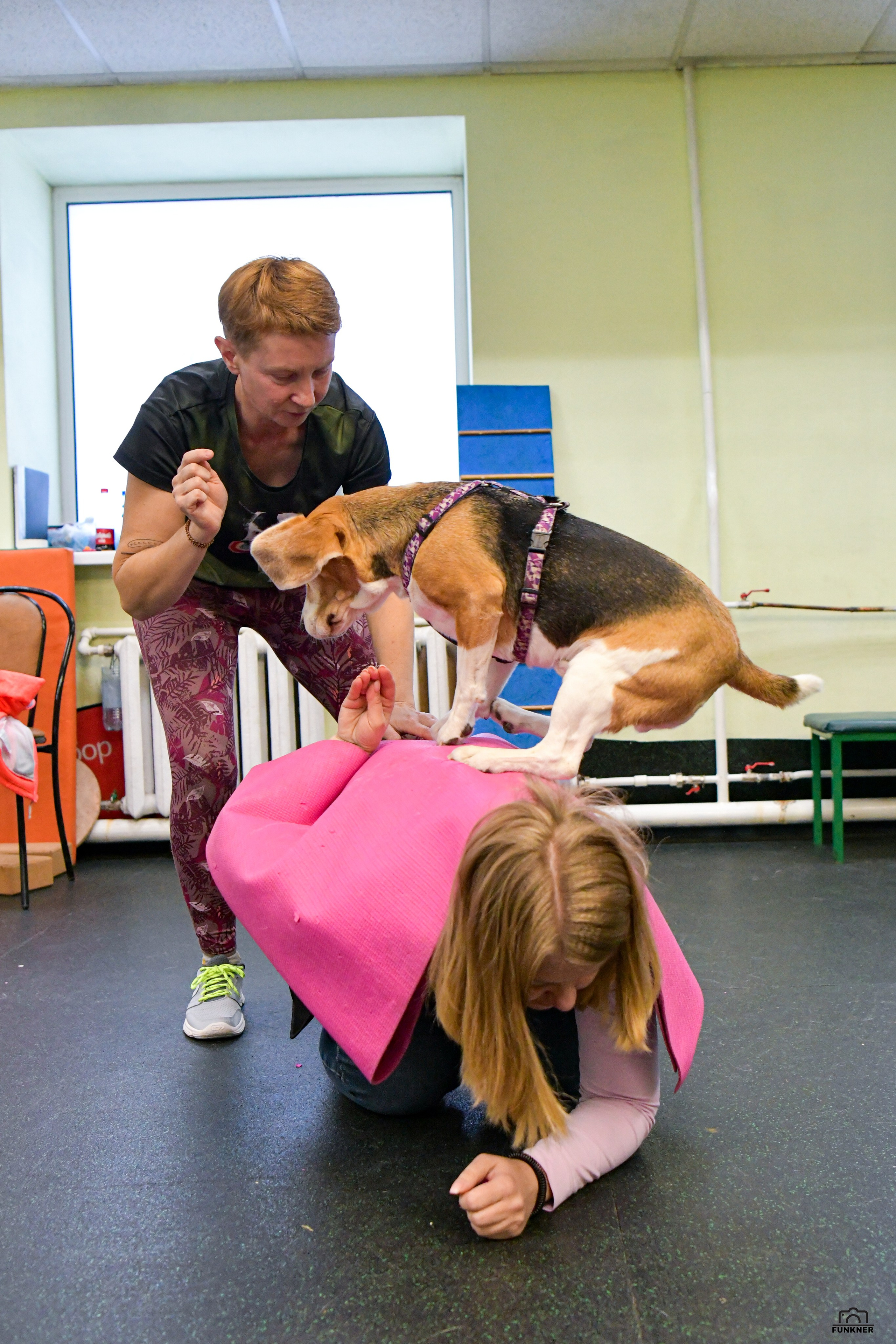 Кинологический клуб «Бодрый хвост». Свой взгляд через объектив