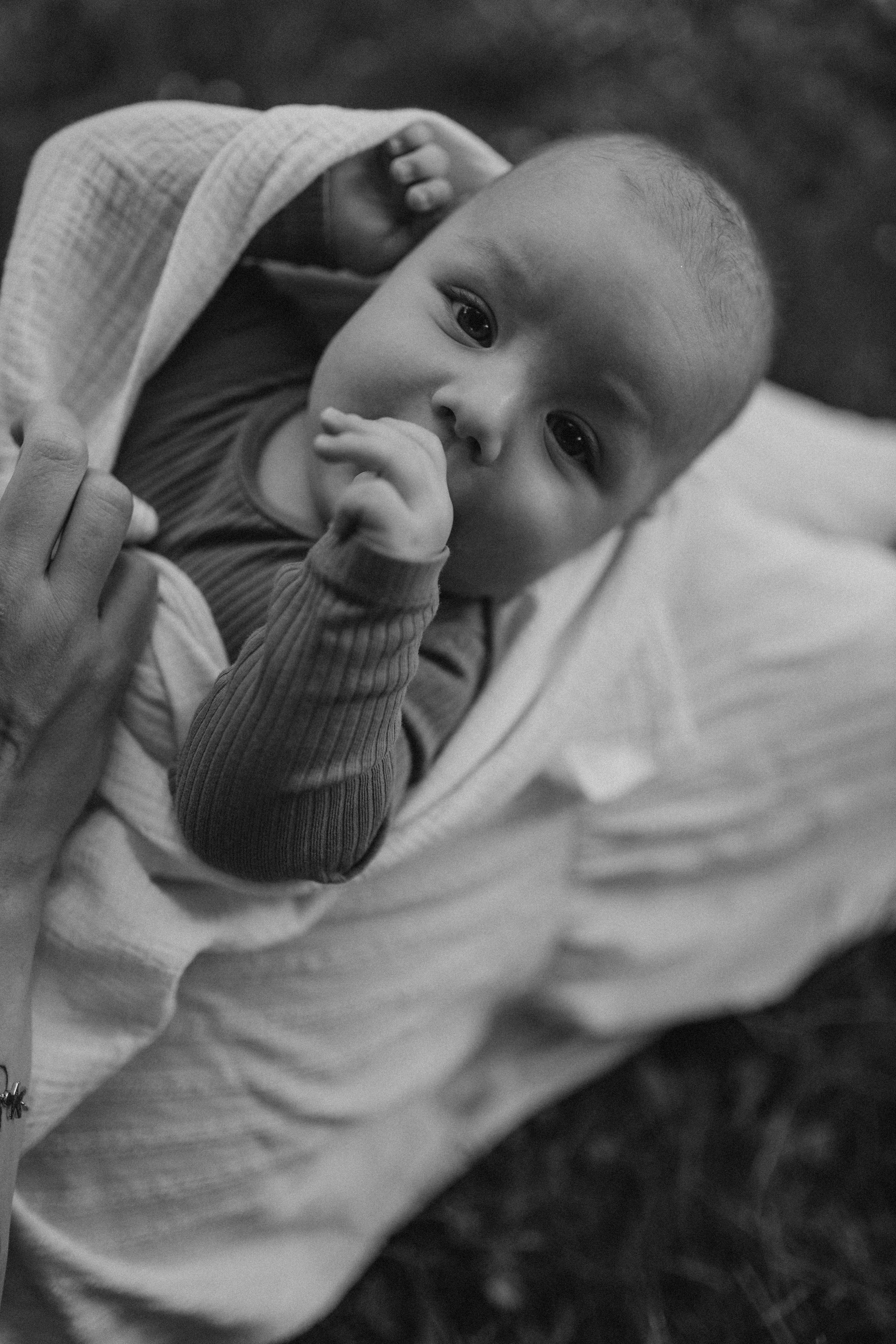 Алена, Марк. Семейный фотограф Оля Гладченко