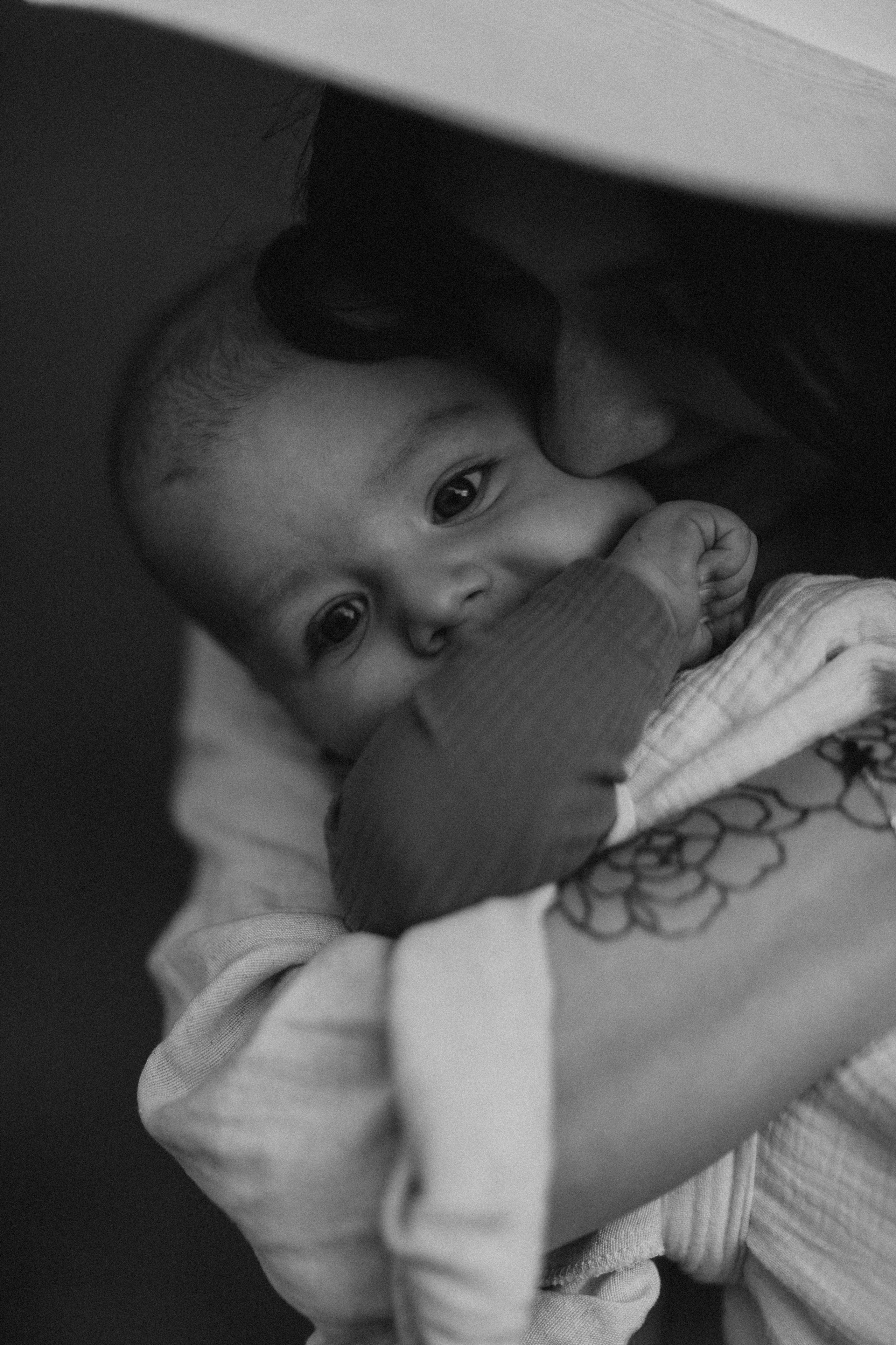 Алена, Марк. Семейный фотограф Оля Гладченко