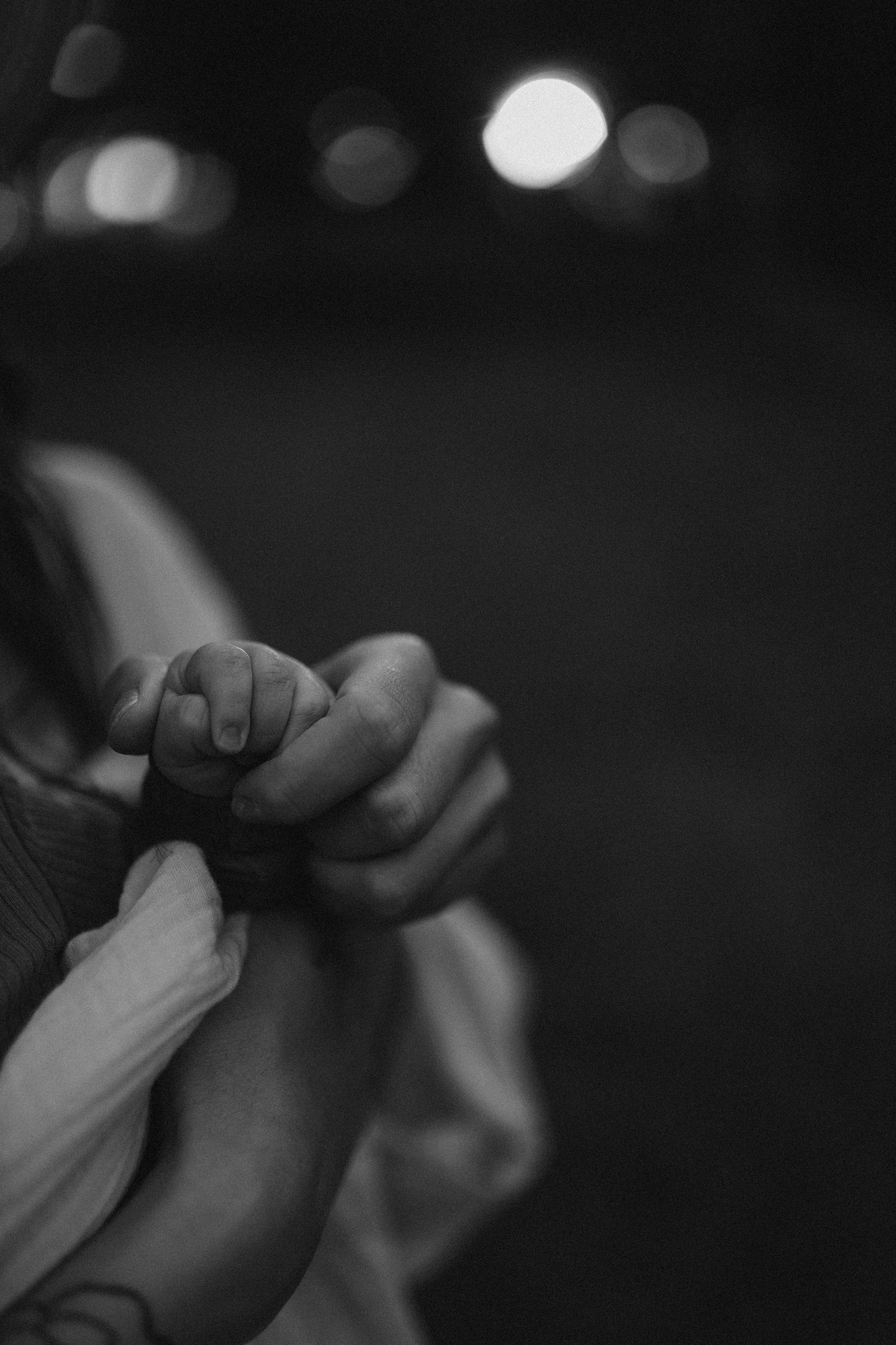 Алена, Марк. Семейный фотограф Оля Гладченко