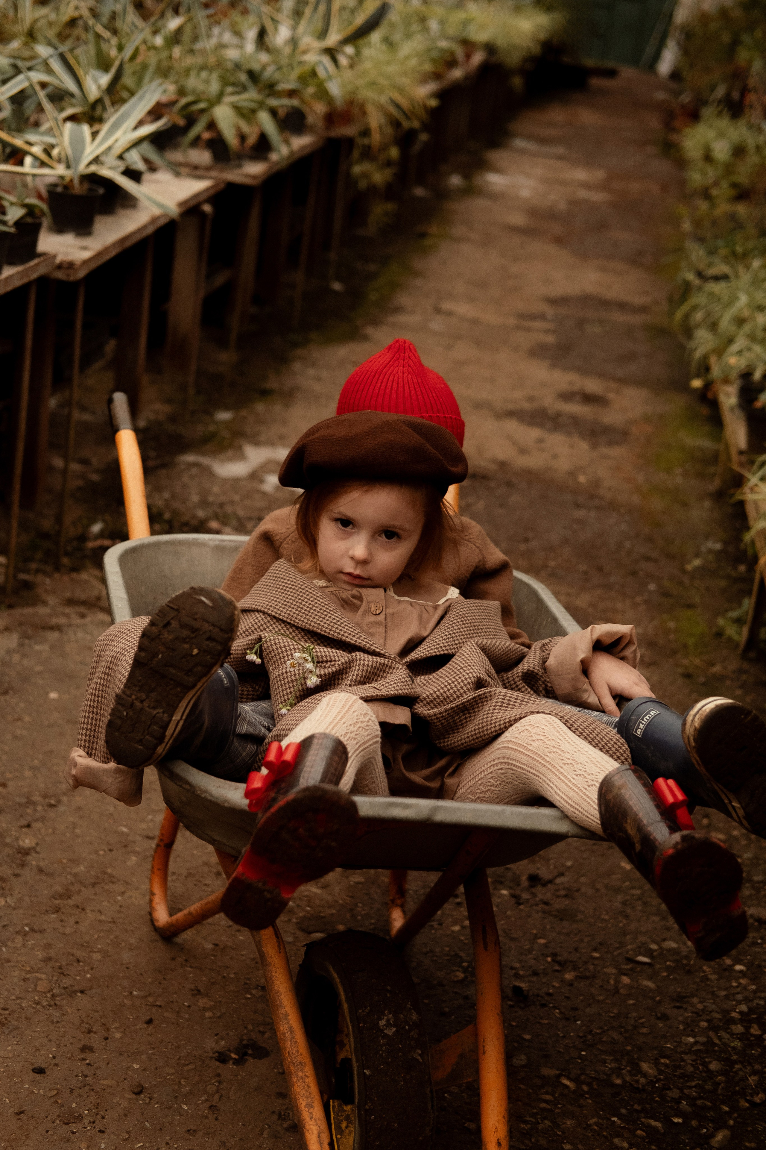 Семейные фотосессии в Сочи, Сириус и на Красной поляне. Семейный, свадебный фотограф Сочи, Адлер, Красная поляна