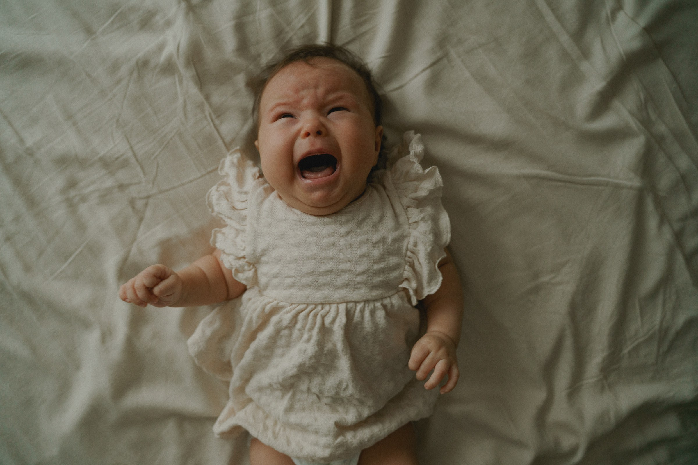 Там где кошки поют…. Свадебный и семейный фотограф в Абакане Василевский Алексей