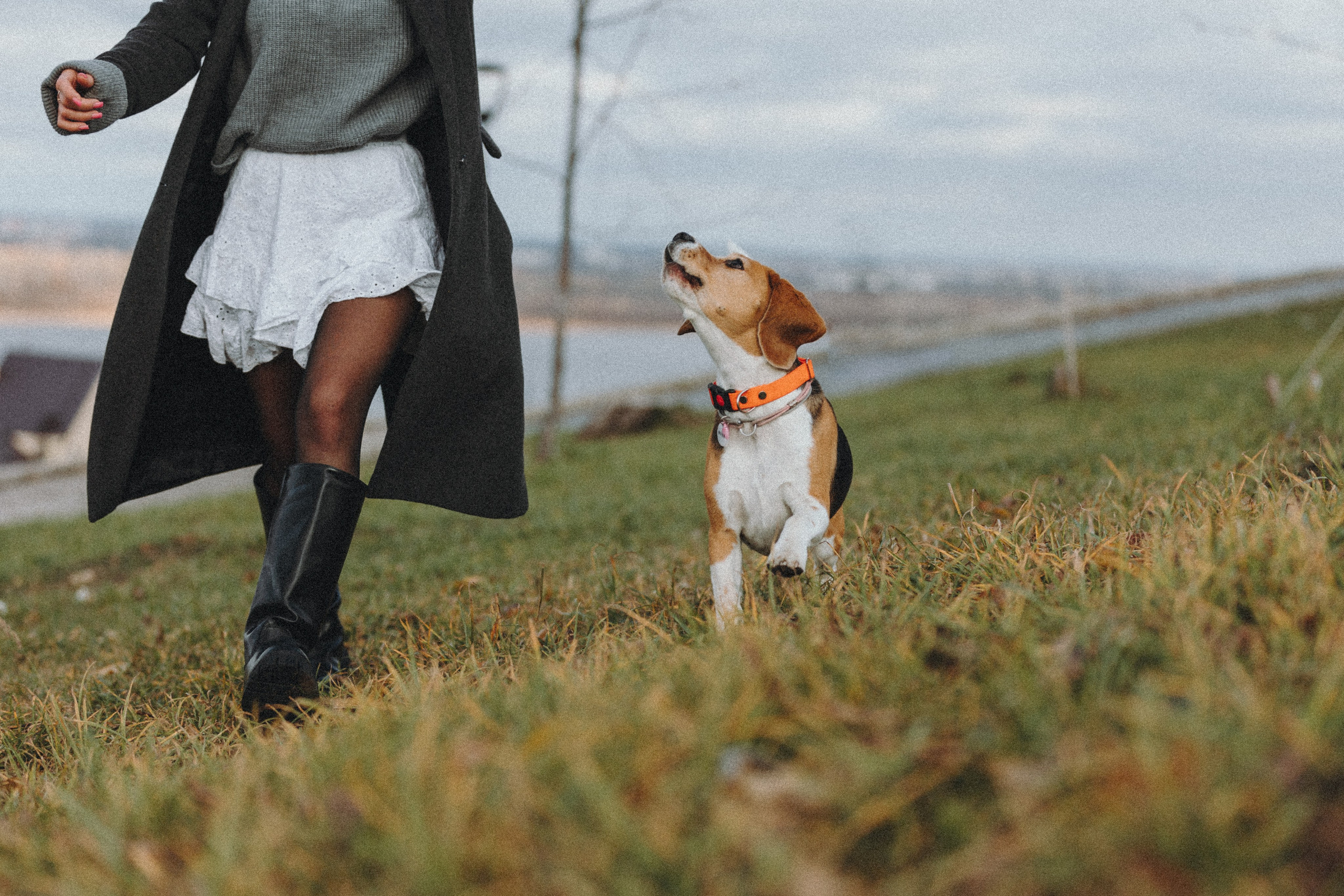 Аня и Моня. Фотограф — анималист Светлана Кысса|фотограф собак в Краснодаре и Нижнем Новгороде