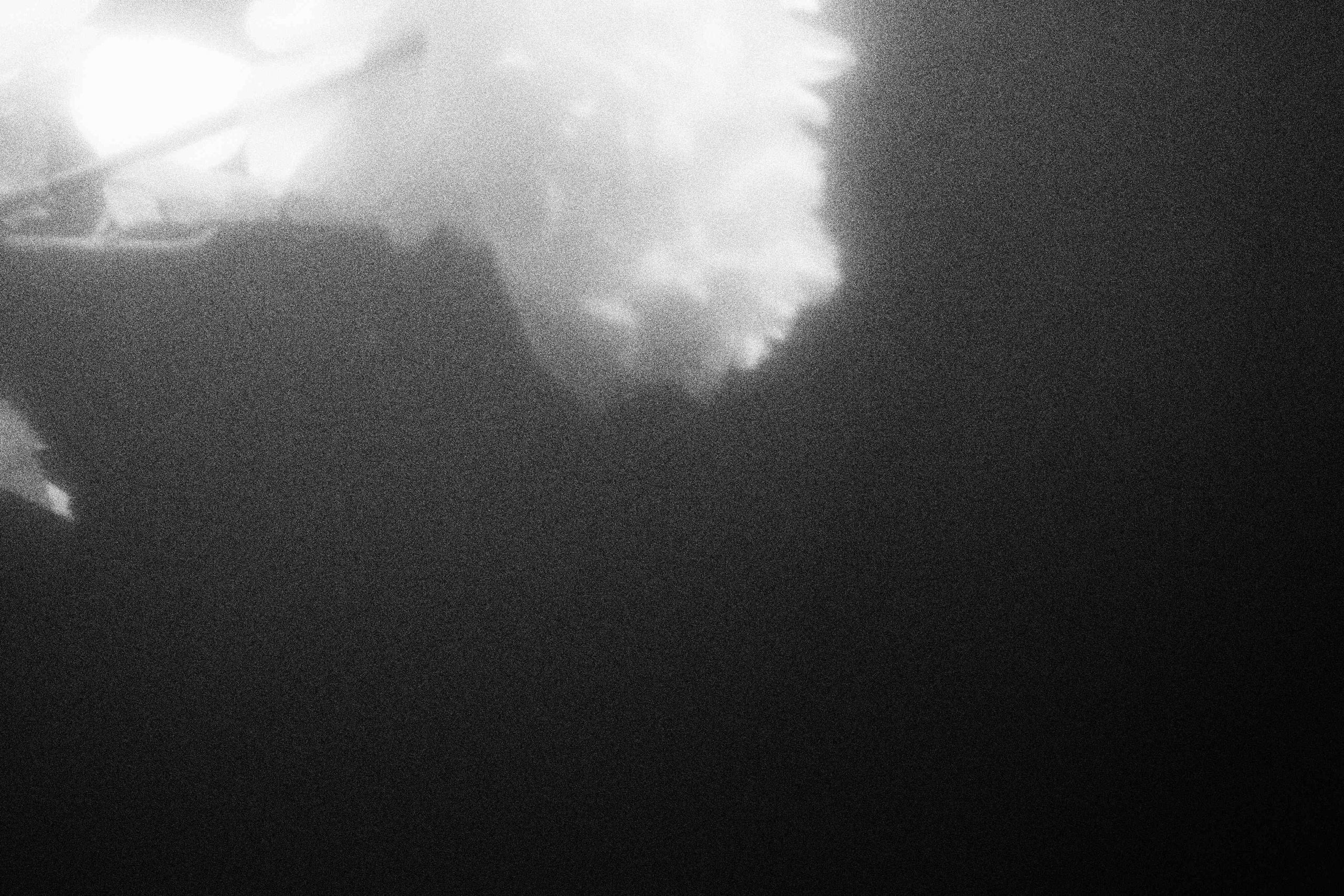 «Видеть. Чувствовать. Сохранять»