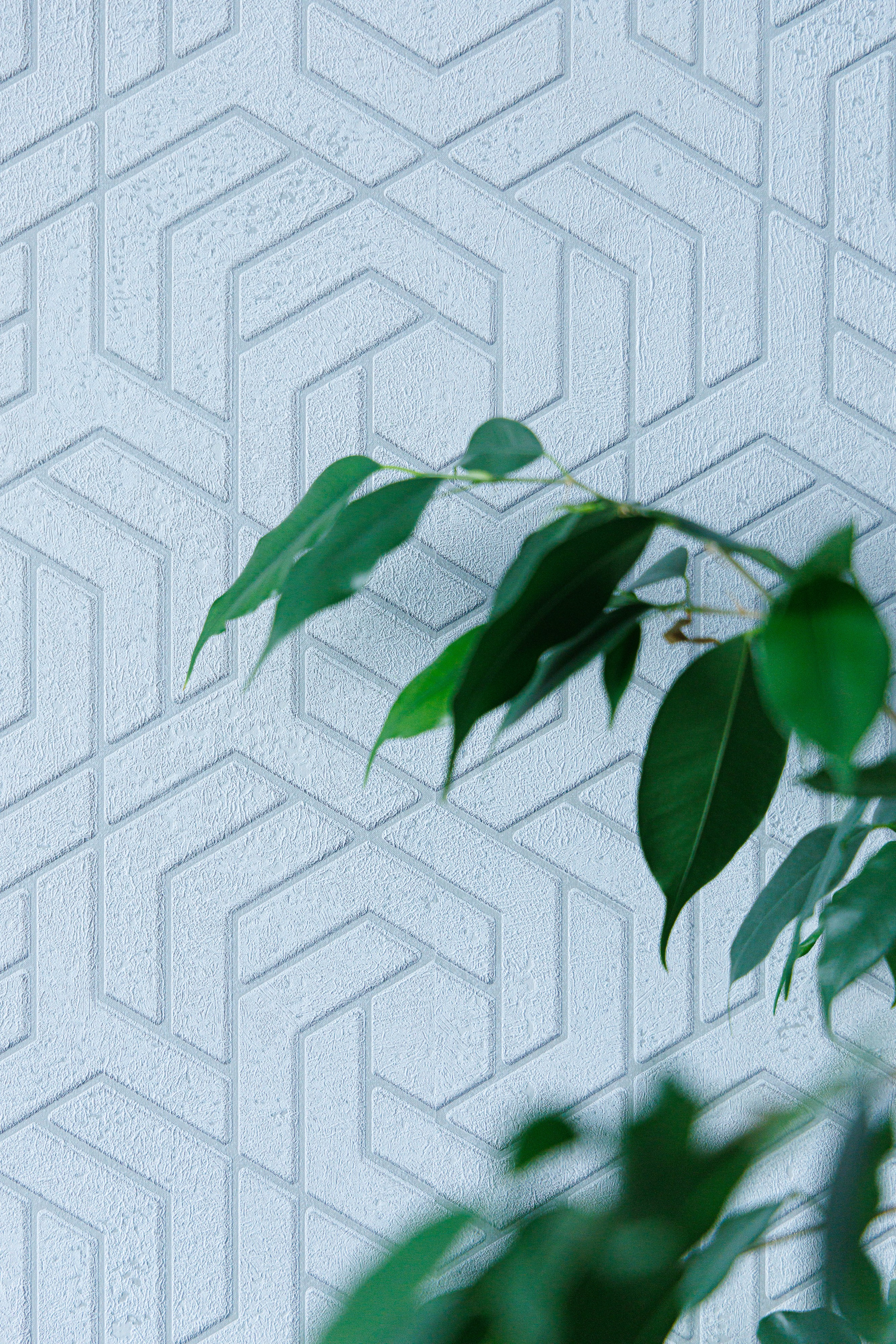 Интерьерная съёмка квартиры для продажи на сайте АВИТО г. Нижний Новгород. Интерьерный, предметный фуд-фотограф в Нижнем Новгороде Наталья Латыпова