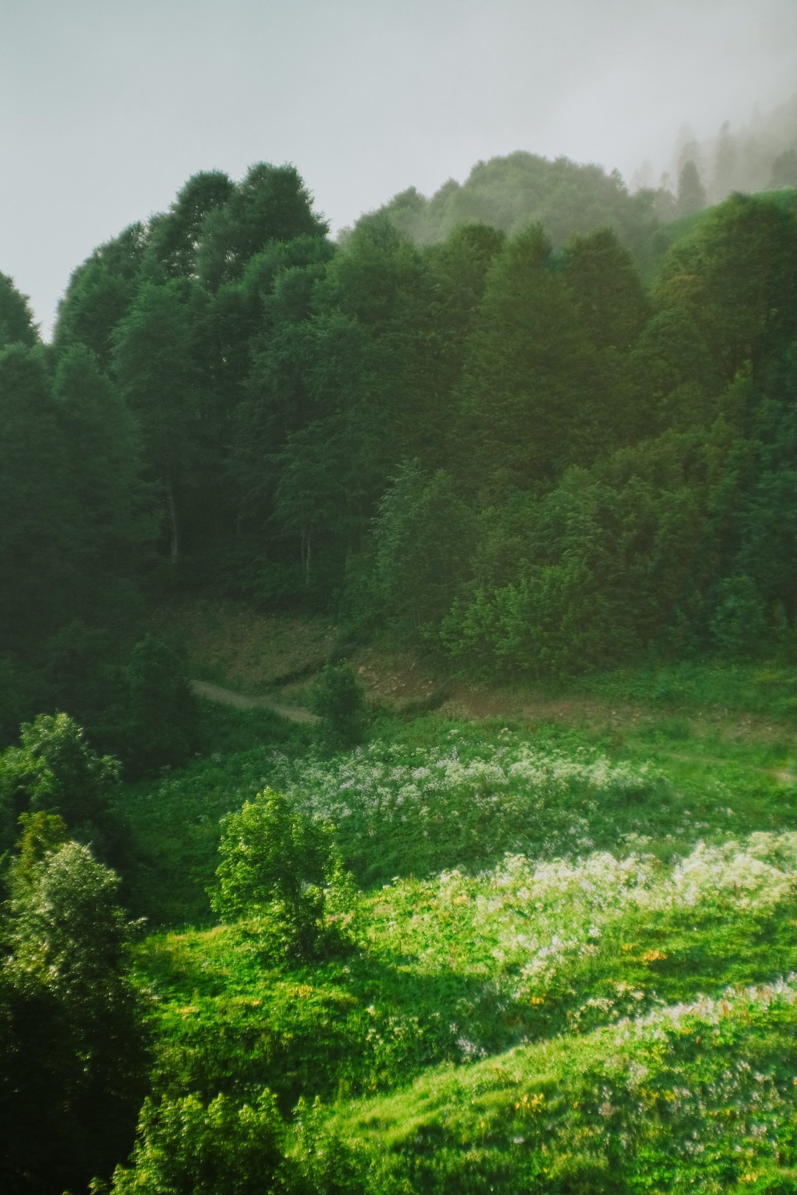 Нахазо ✽ Июль. Репортажный фотограф | Роза Хутор Красная Поляна Сочи Сириус