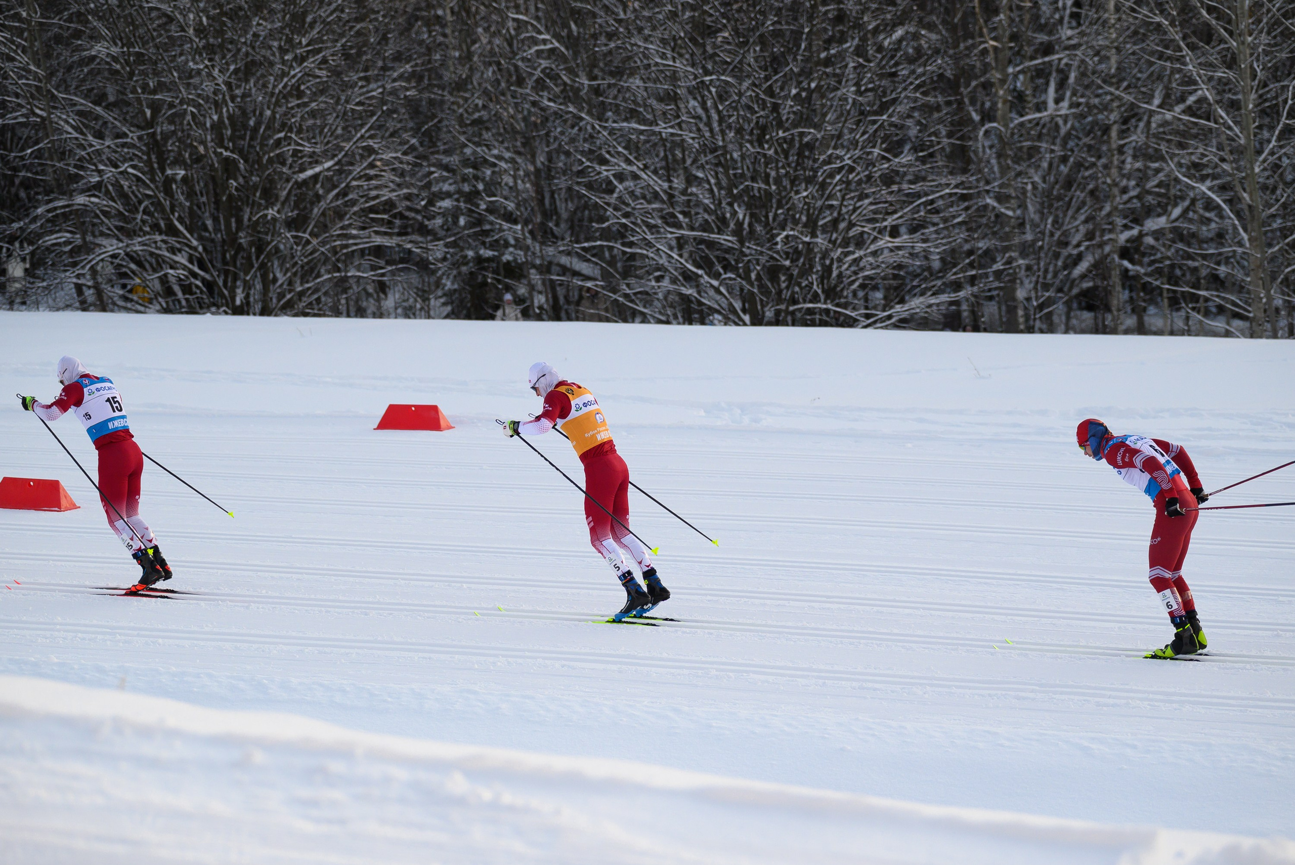 Лыжные гонки. Свадебный фотограф Ижевск Петр Шишков