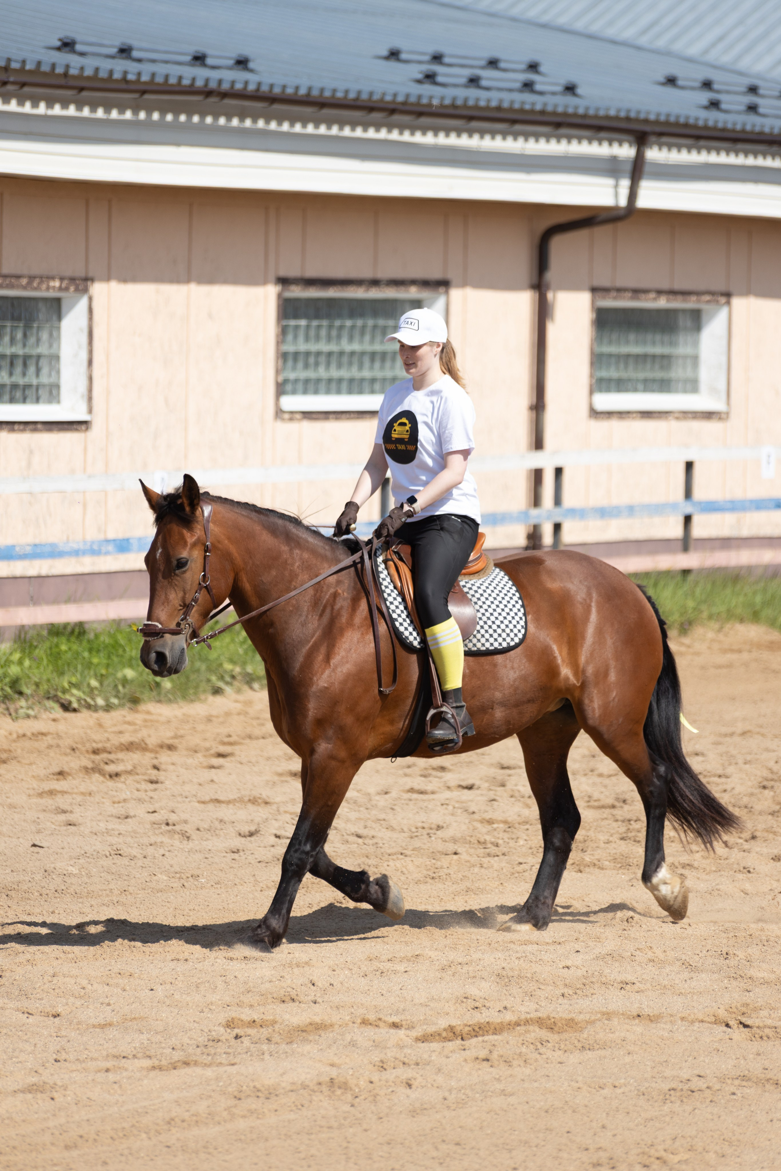 Конюшня. Фотограф в Москве и Истре