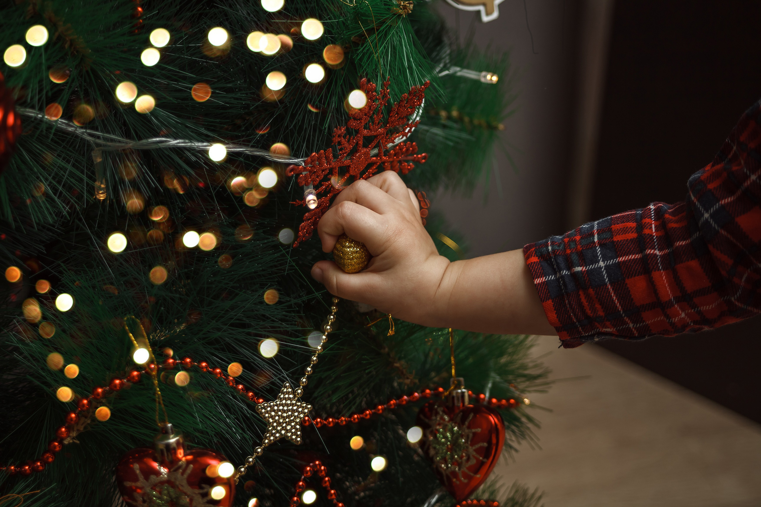 Маша. Портретный, семейный, свадебный фотограф в Брянске Маргарита Василькова