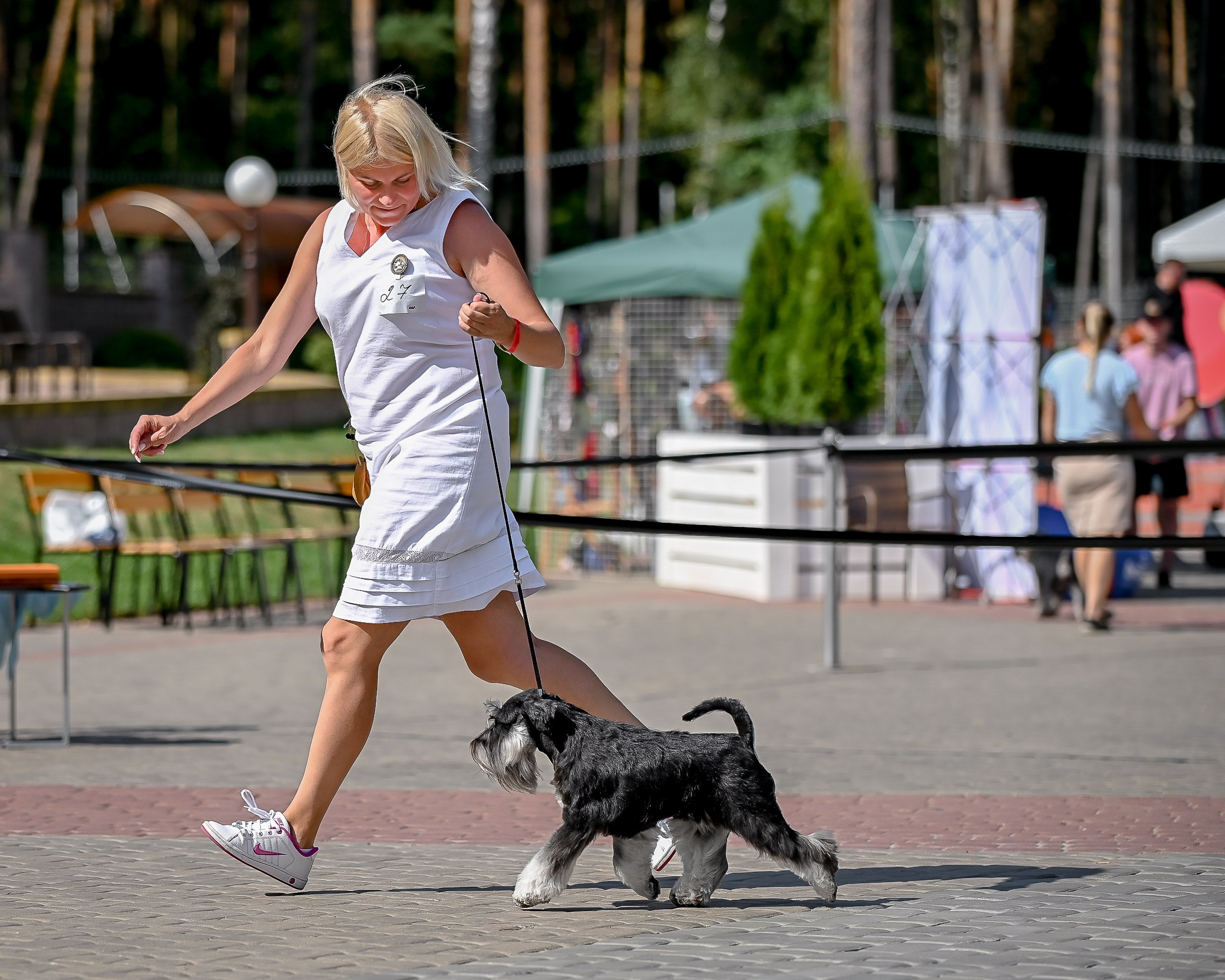 Питомник Делинсо Бэлэнс, щенки цвергшнауцера, купить щенка цвергшнауцера, питомник цвергшнауцеров, кобель цвергшнауцера для вязки, щенок цвергшнауцера, питомник цвергшнауцеров, черный с серебром, цверг, лучший питомник в беларуси