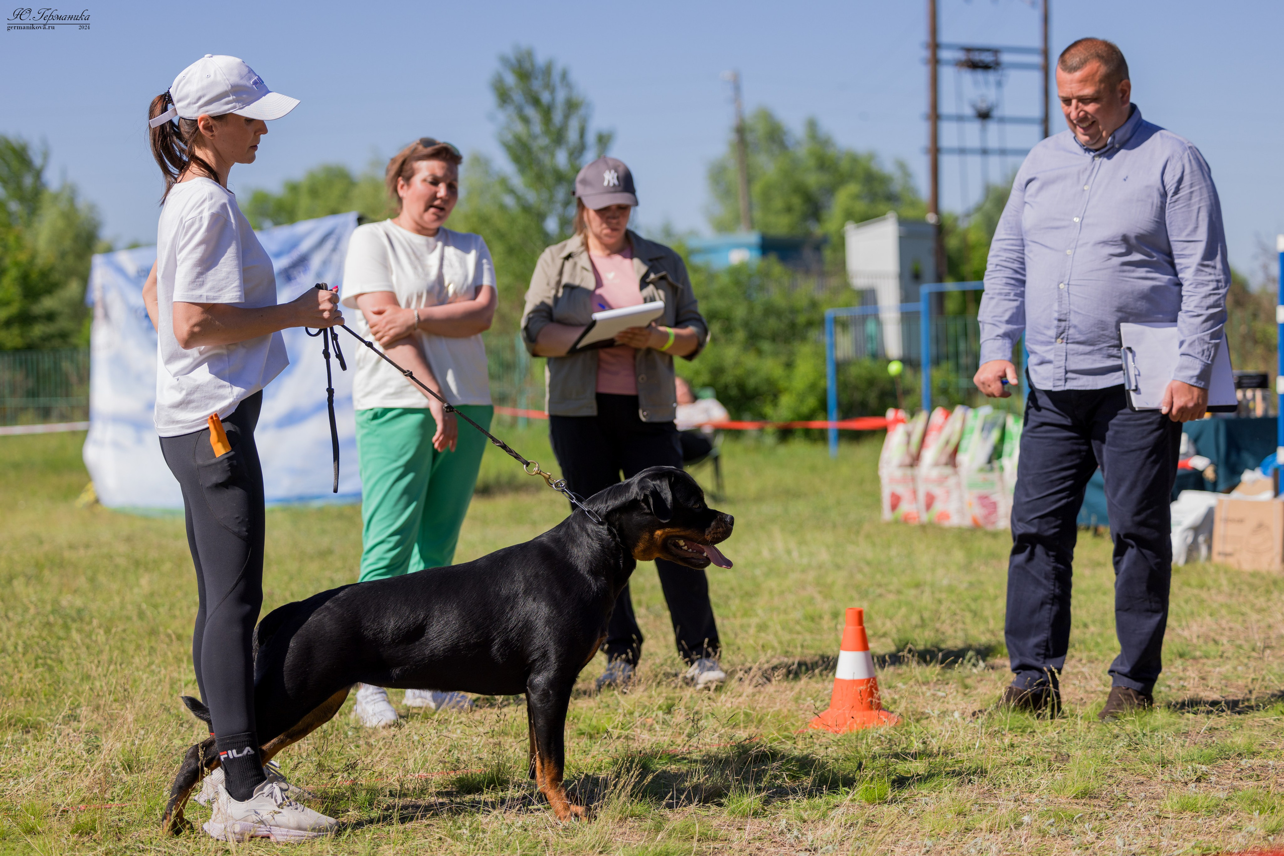 Воронеж моно ротвейлеров 25-26.05.2024. Фотограф-анималист Юлия Германика