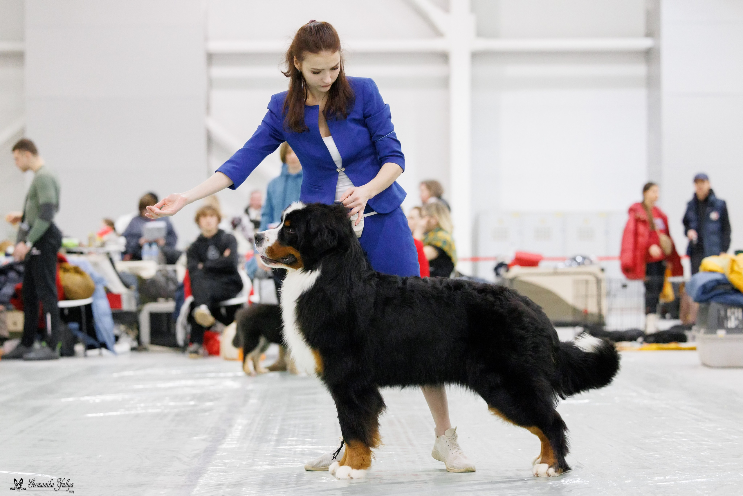Сабанеевка 26-27.01.2024. Фотограф-анималист Юлия Германика