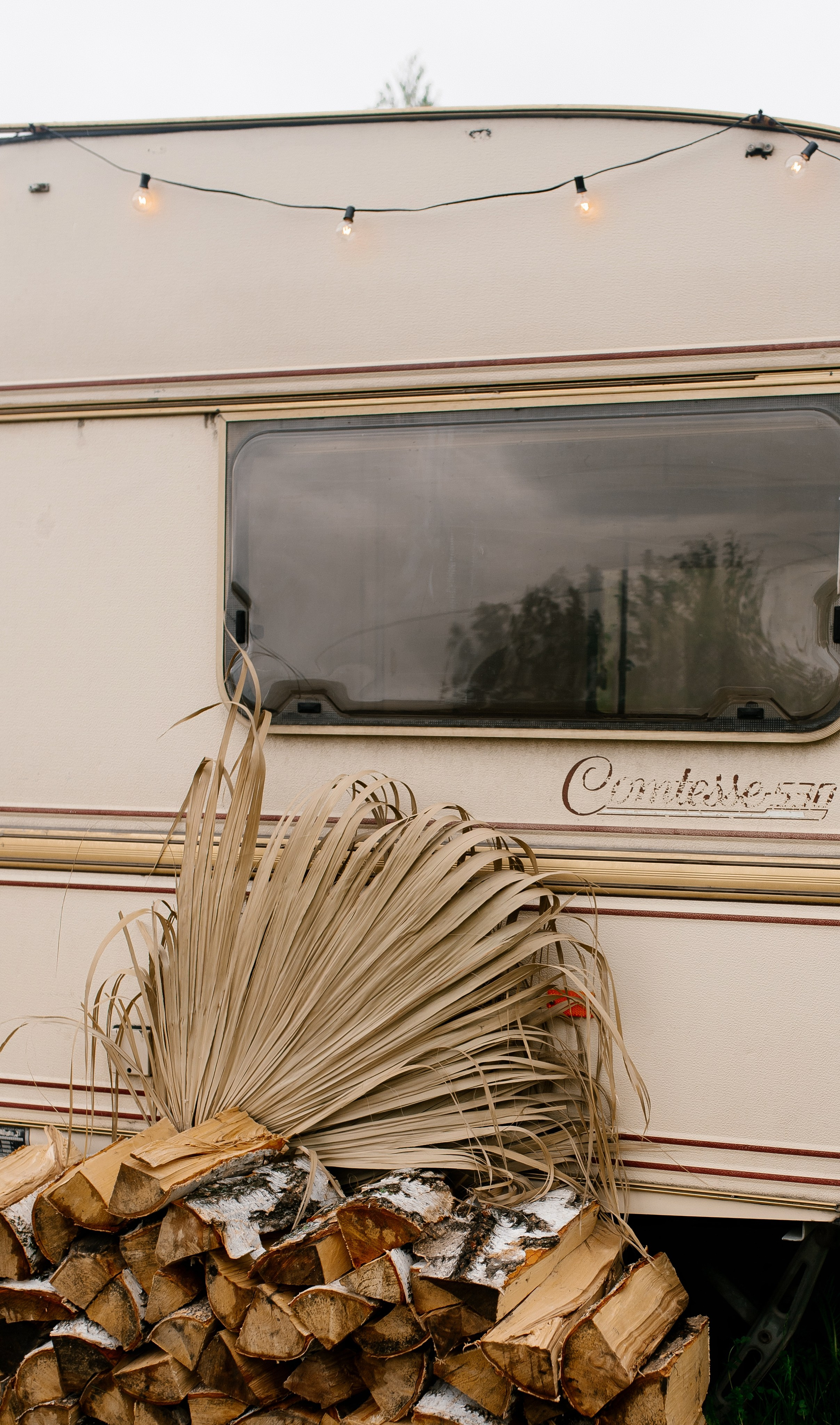 Диана,Иван и Лев♥