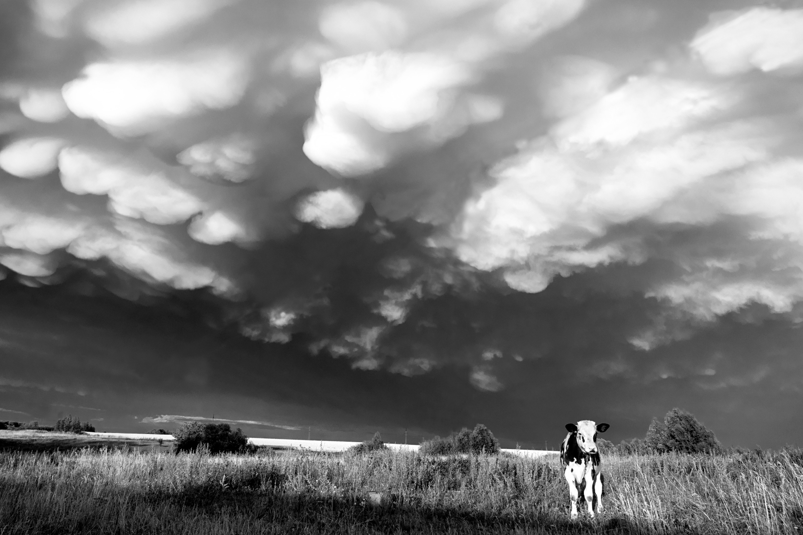 Атмосферные фотографии природы. Съёмка документальных и корпоративных фильмов с индивидуальным подходом