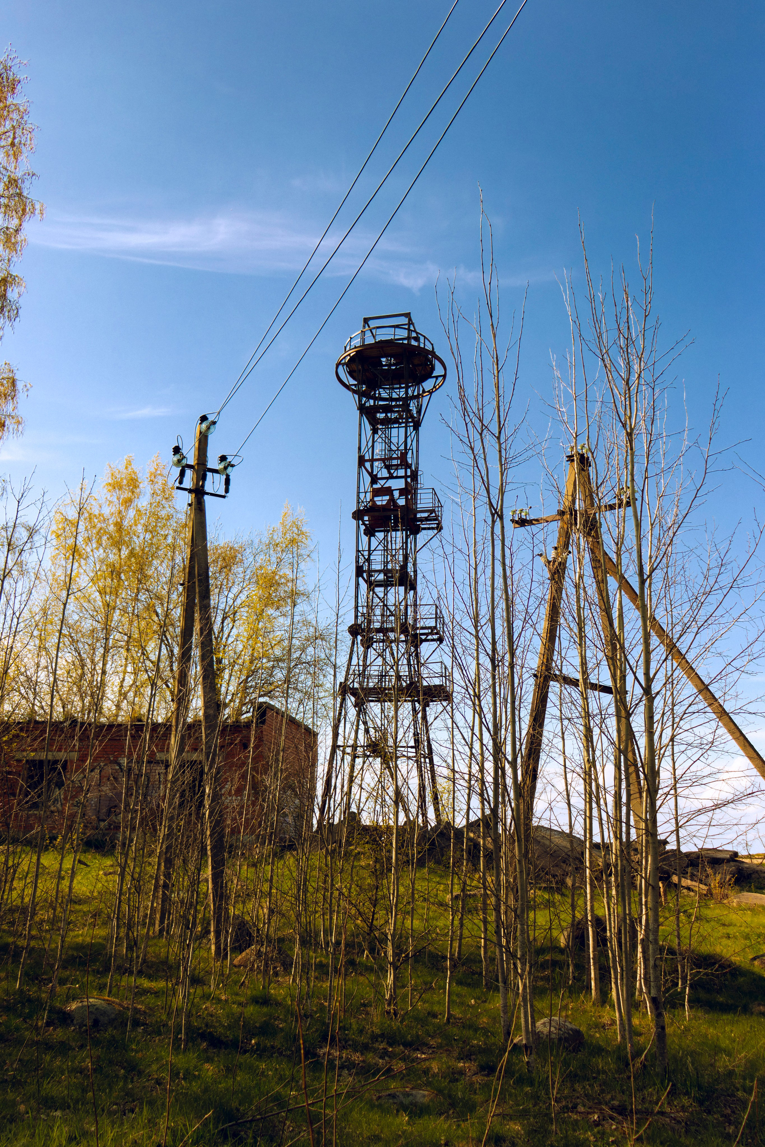 Из наблюдений. Плак или Квак