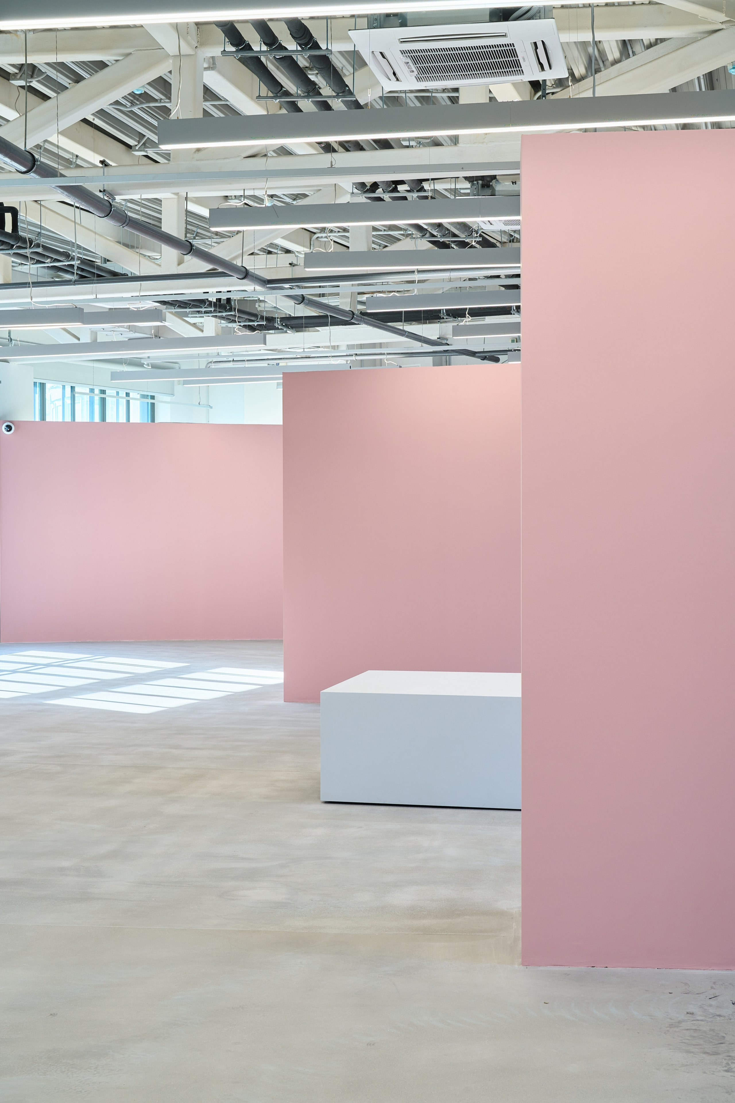 Открытие филиала Третьяковской Галереи. Фотограф Евгений Шаров