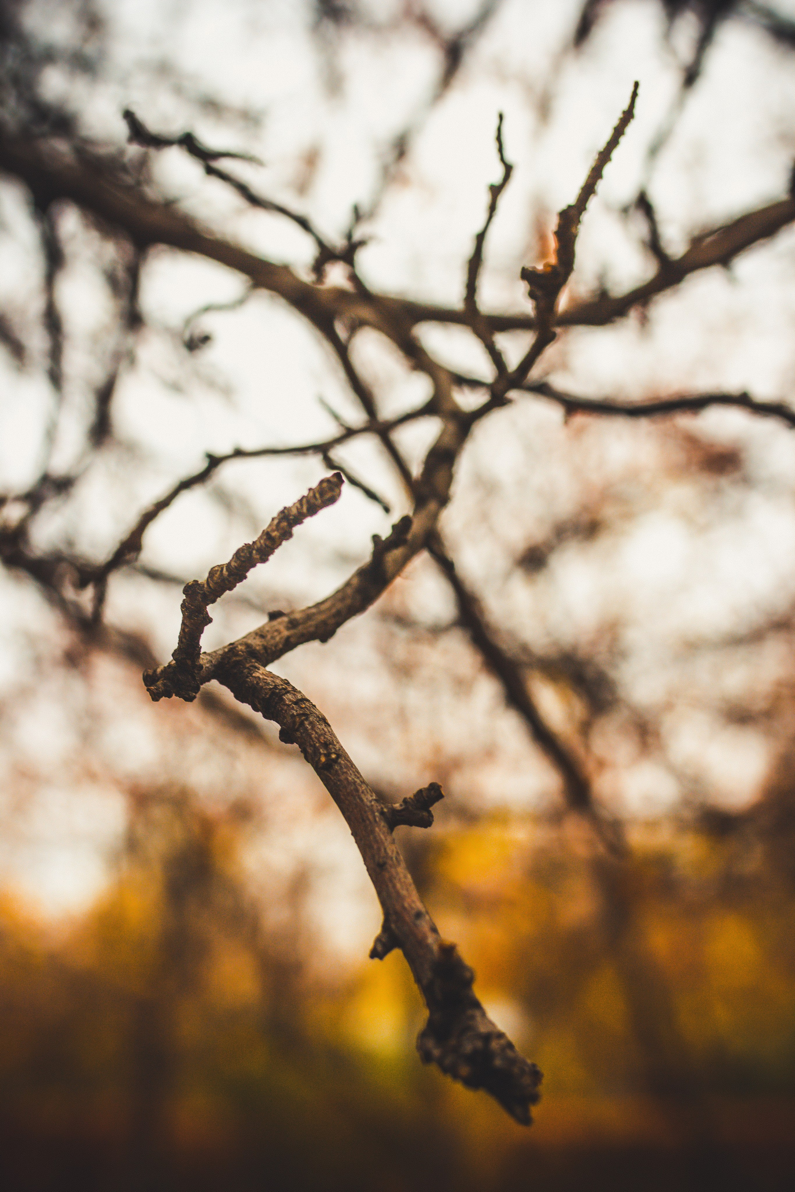 Природа/Животные