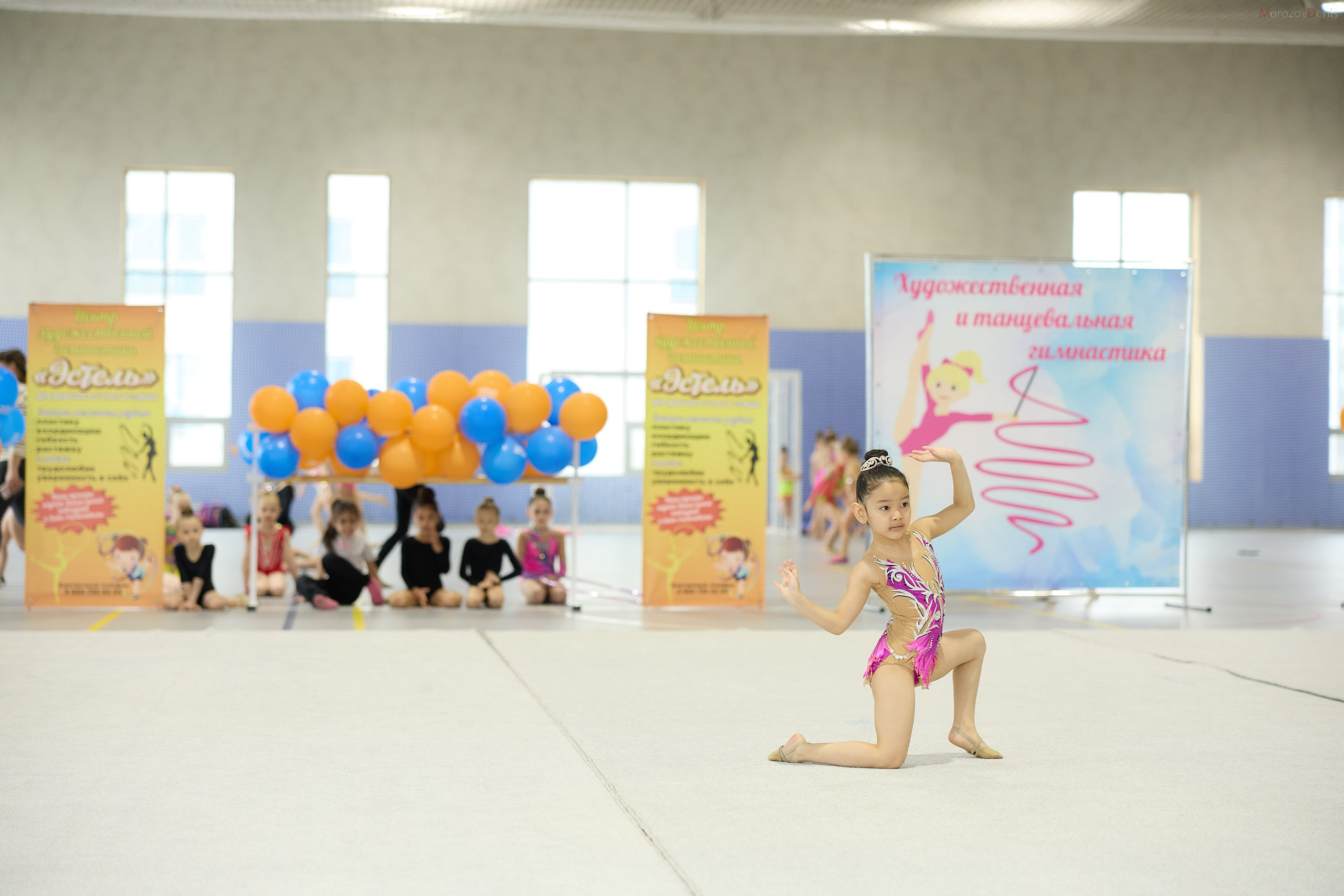 Художественная гимнастика