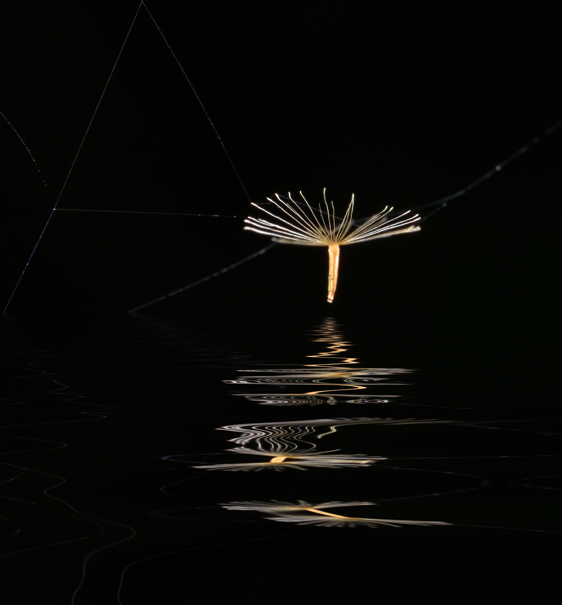 Отражение в воде. Авторские стильные фотокартины