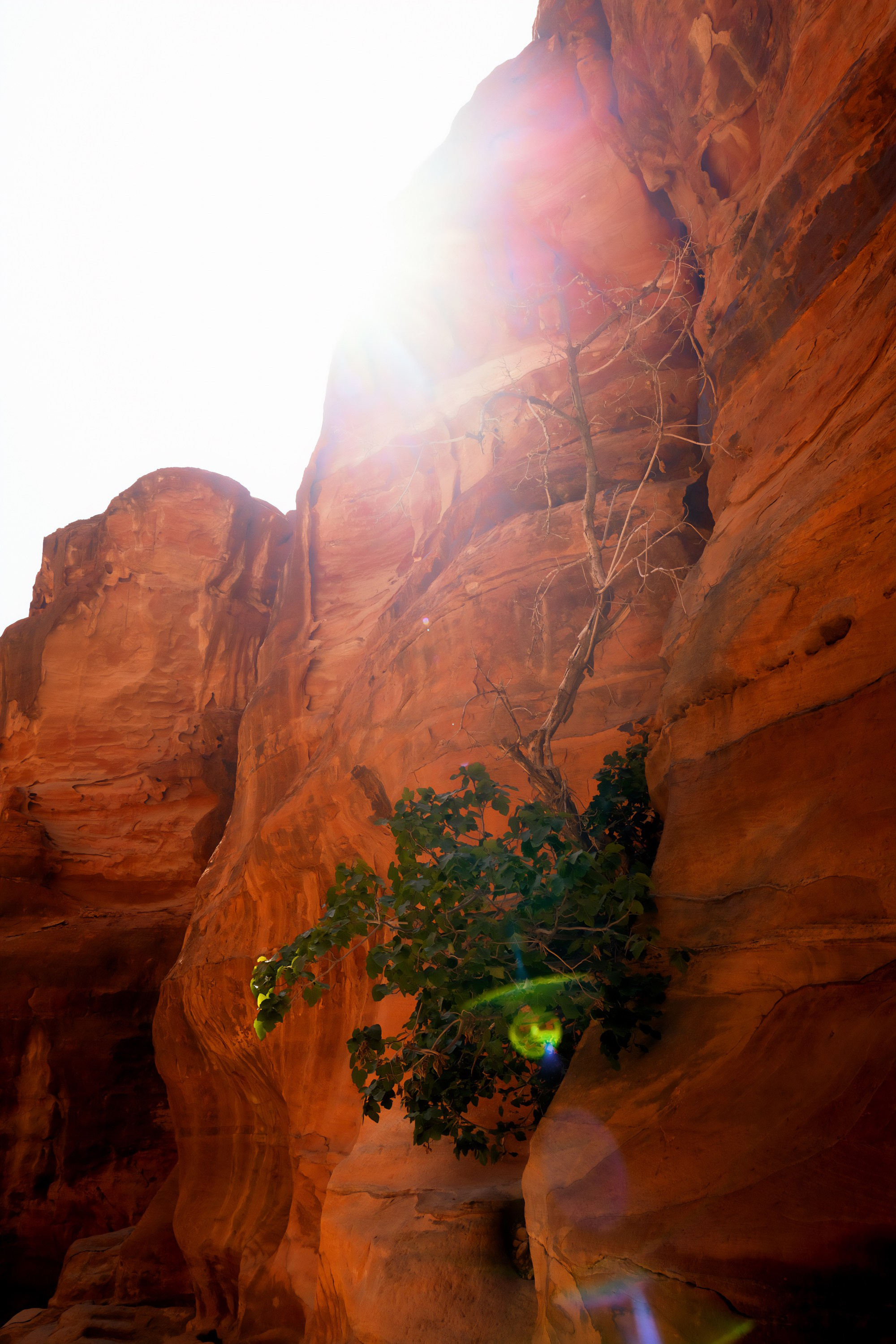Турция, Греция, Иордания. Фотограф в Хабаровске. Фотография за 24 часа