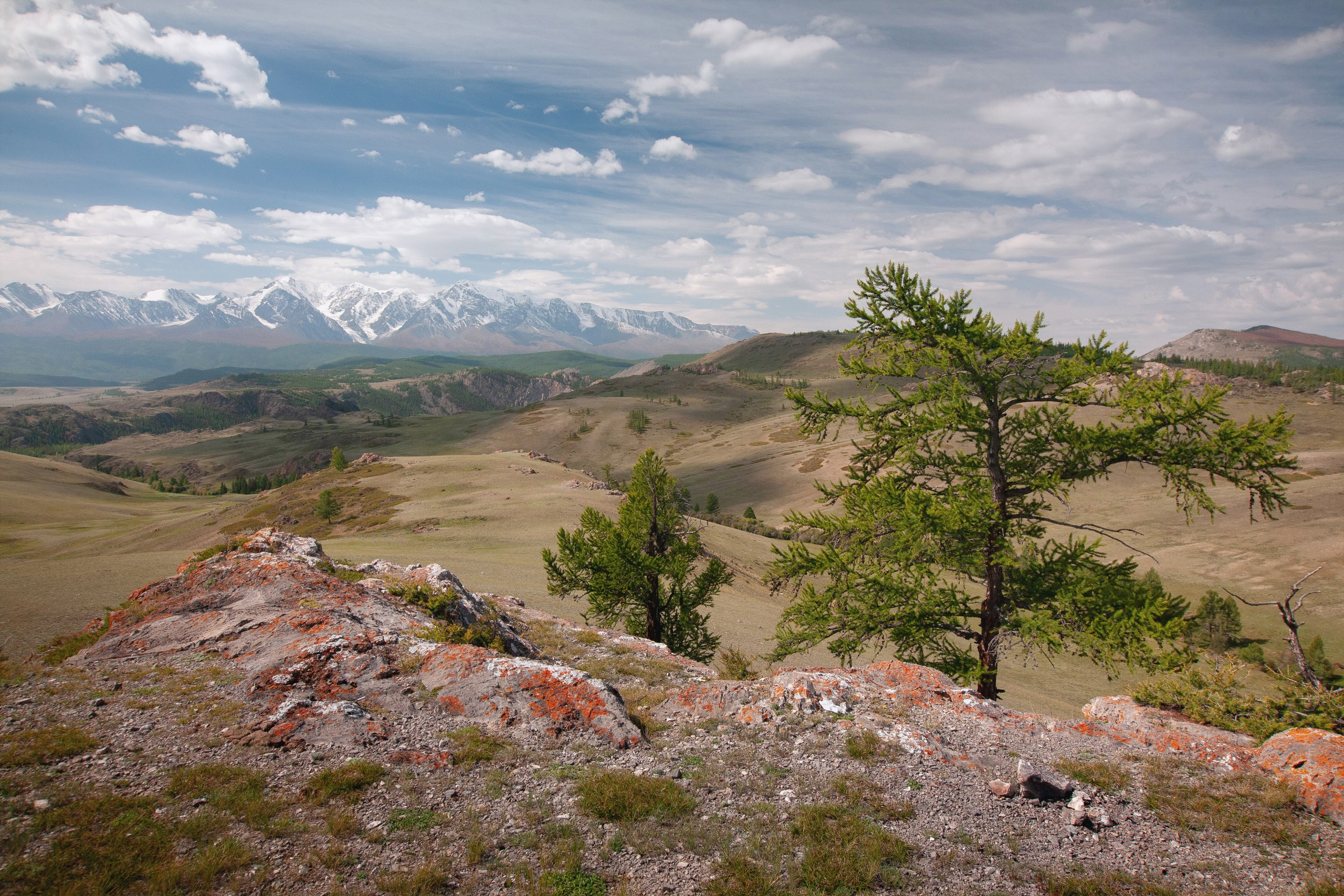 Алтай. Фотограф в Красноярске Нерозя Александр. Пейзаж, природа, портрет