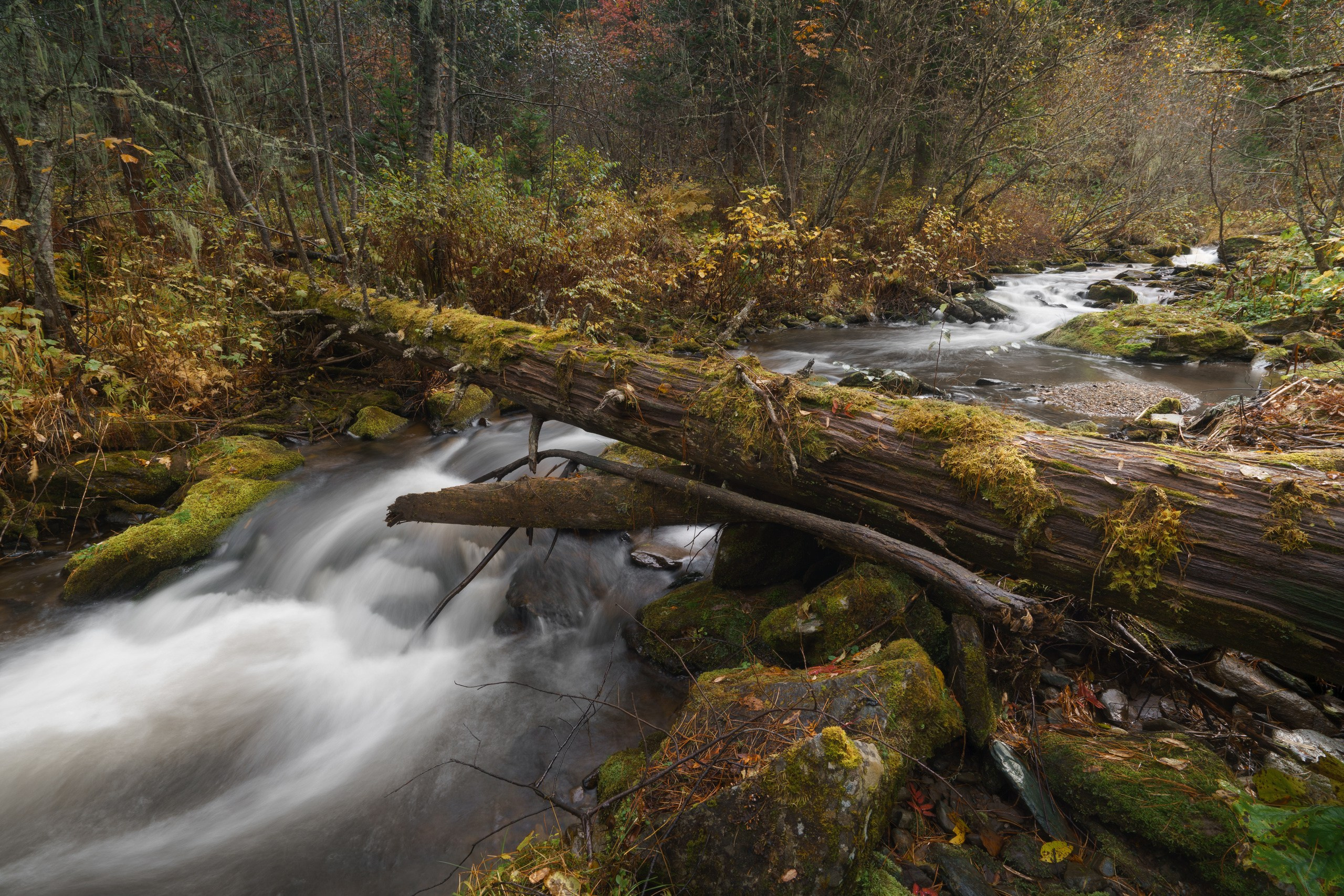 Ергаки. Фотограф в Красноярске Нерозя Александр. Пейзаж, природа, портрет