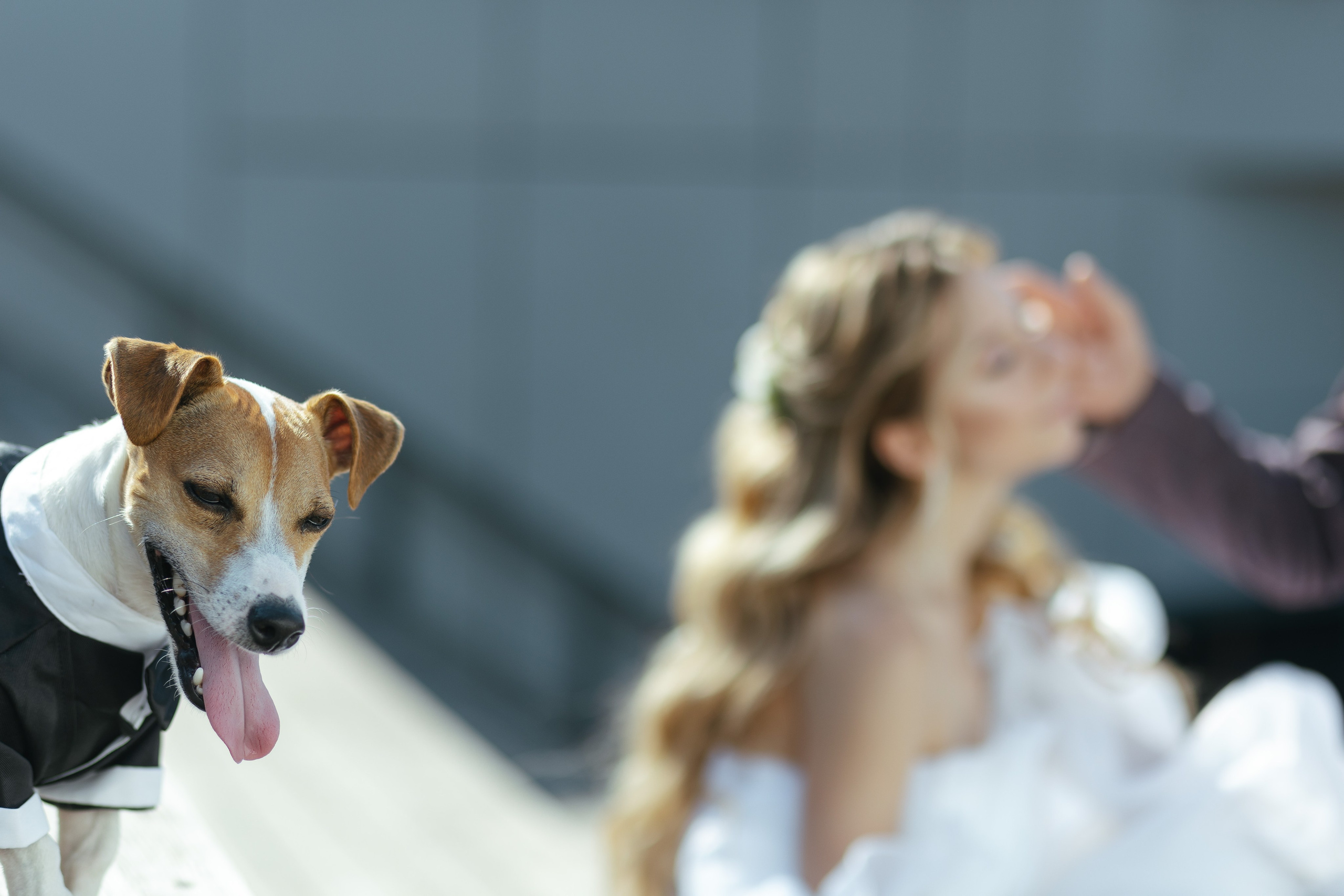 Алексей и Кристина. Свадебный фотограф Калуга Москва Диана Румянцева