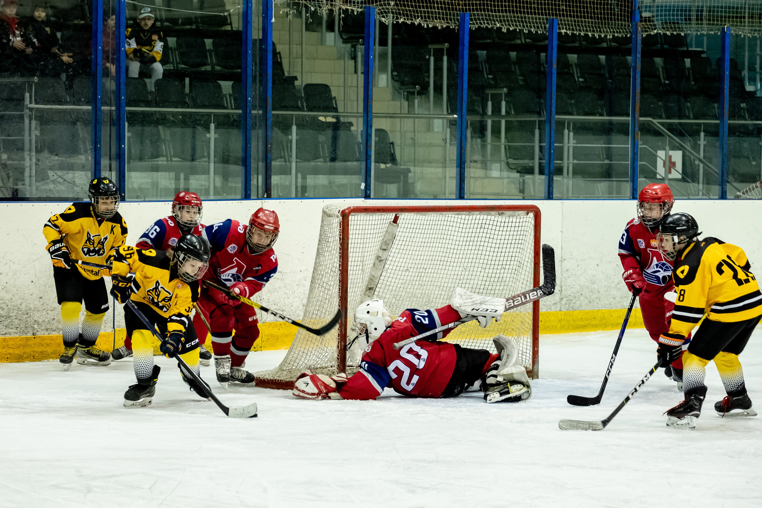 Спорт. Выпускные альбомы в Ярославле и Ярославской области Ярко Фото