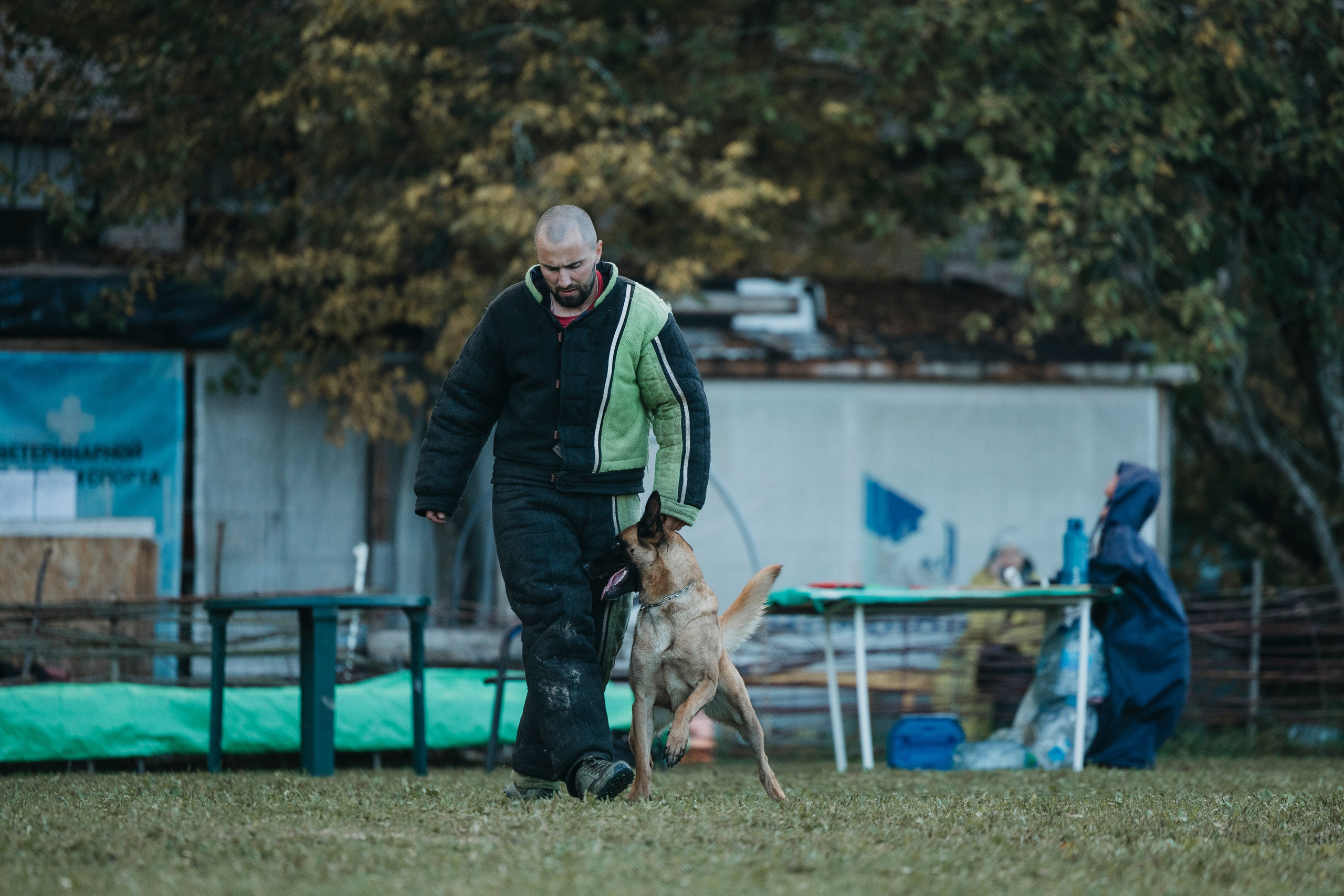 Испытания по мондьорингу г. Пушкин 29.09.2024. Фотограф-анималист Анна Маринич