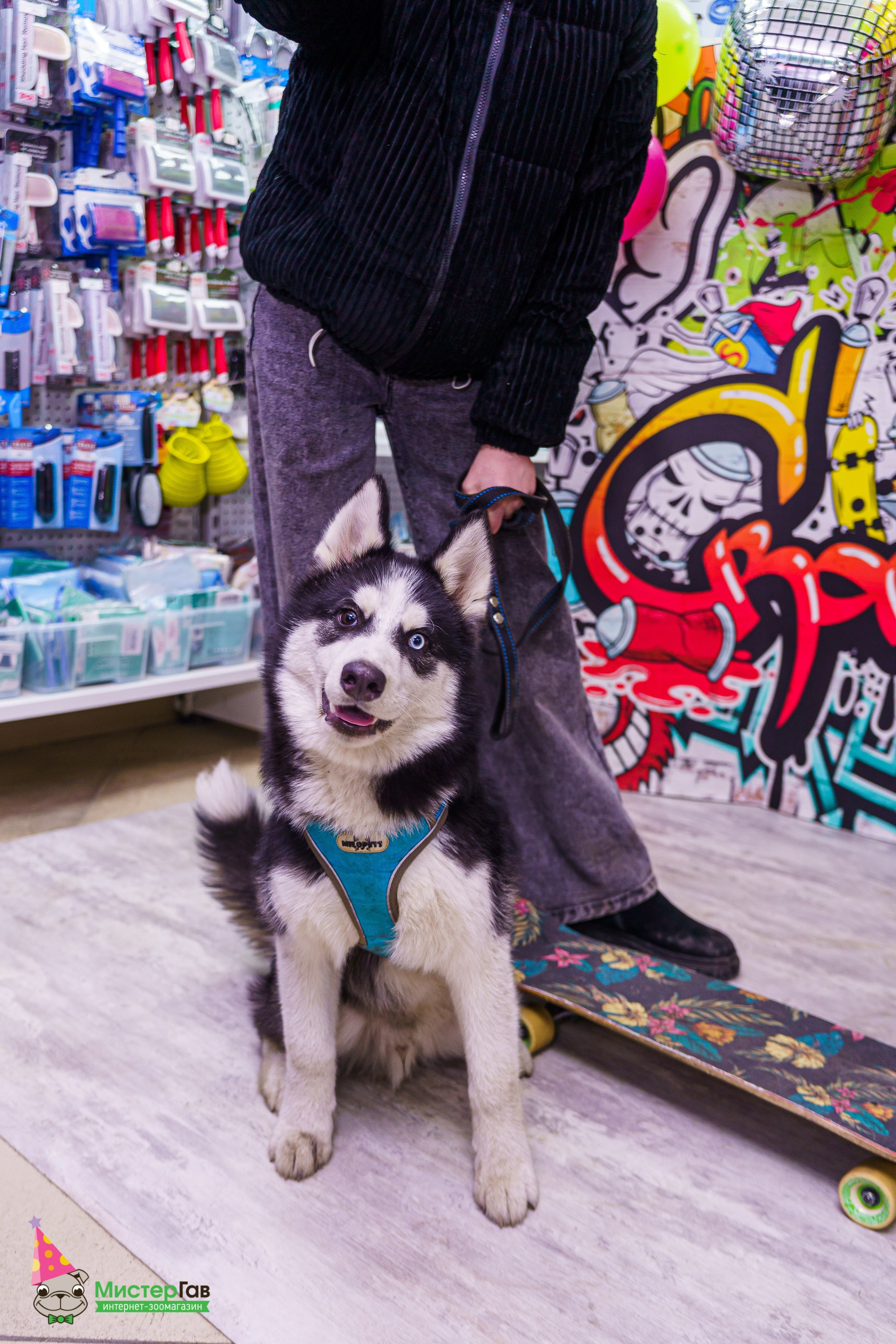 Мистер Гав -13 лет!. Фотограф Челябинск · Ольга Серебрякова