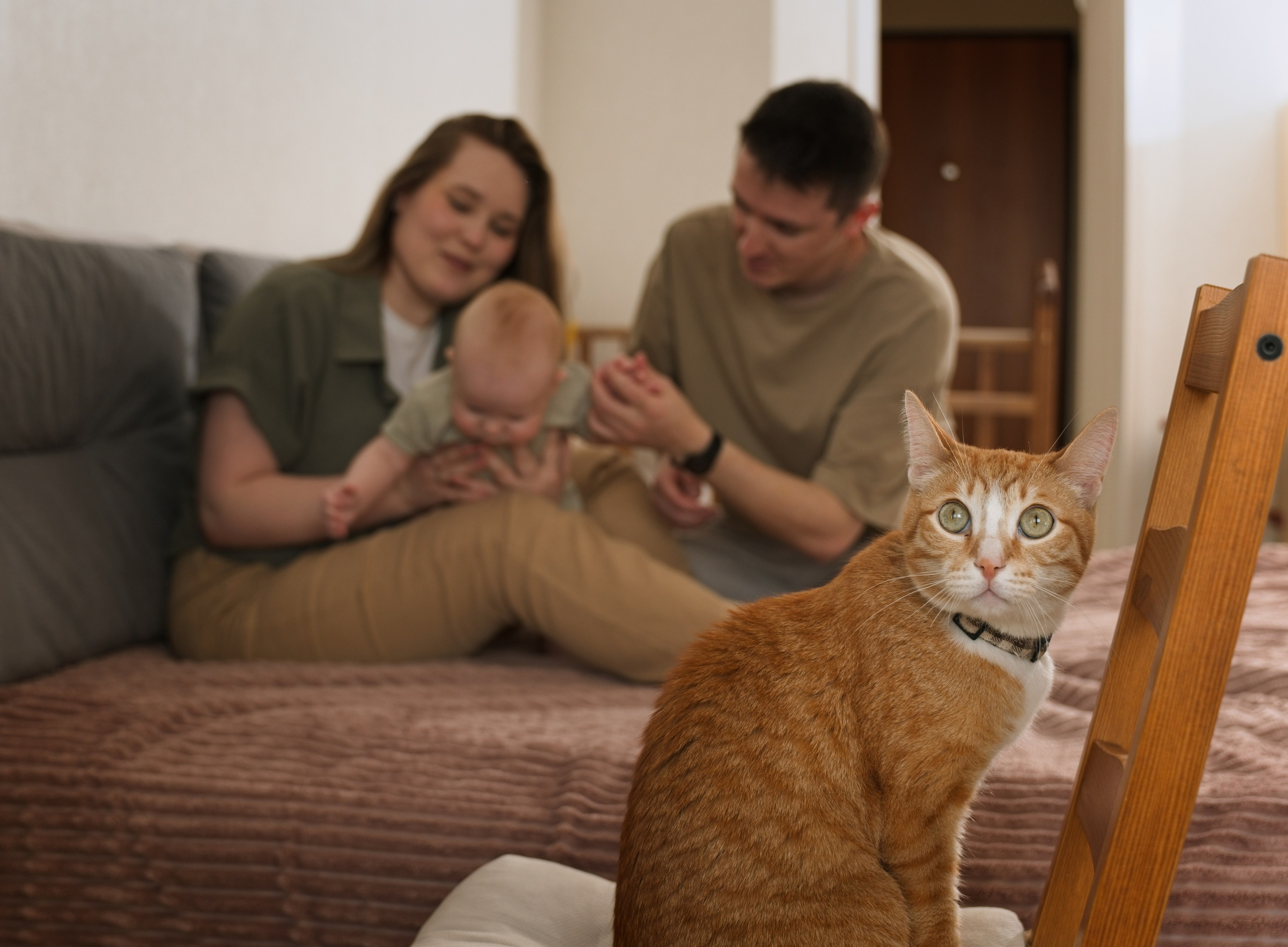 Семья. Семейный и интерьерный фотограф в Норильске и Красноярске