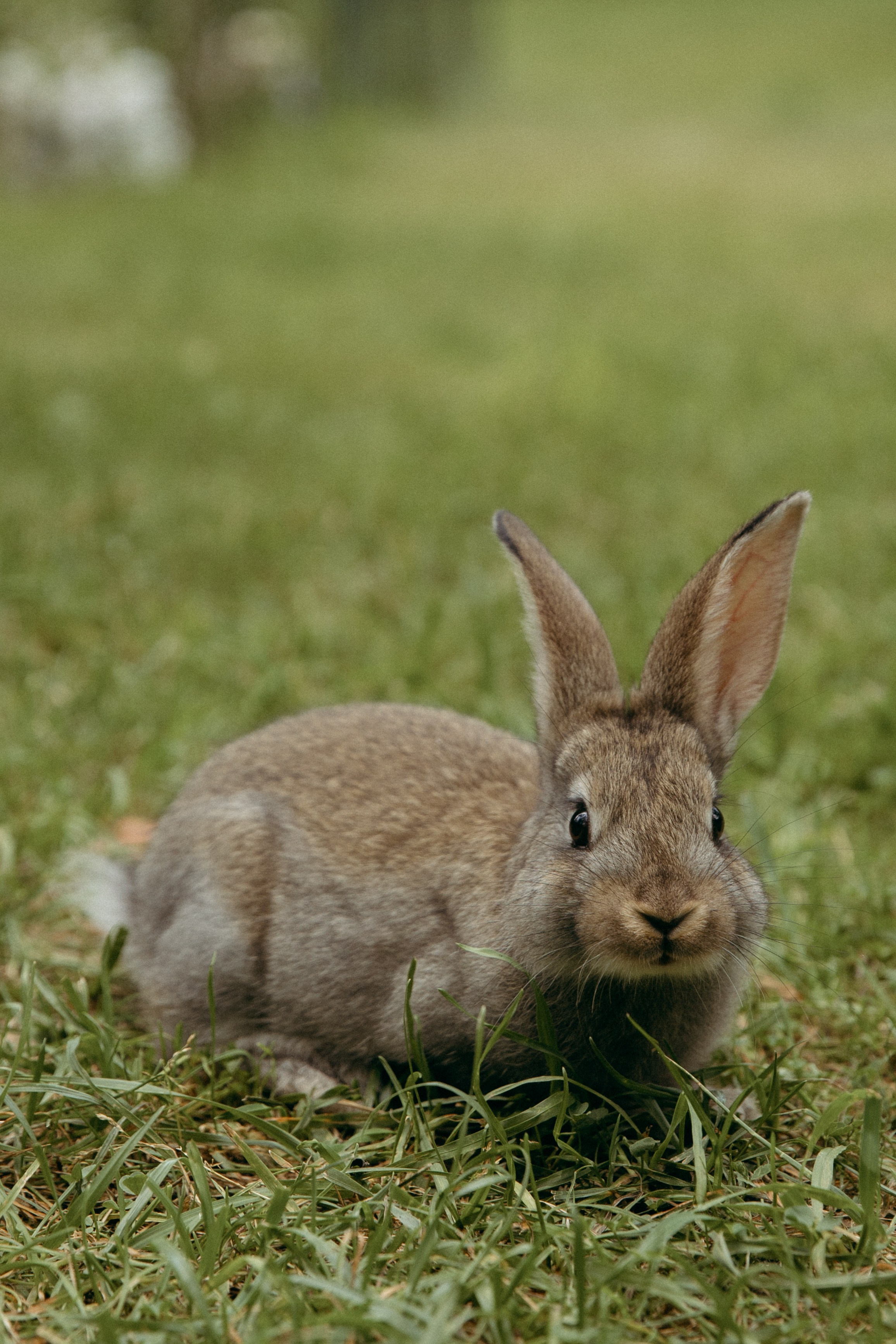 Николай и Александра. Главная