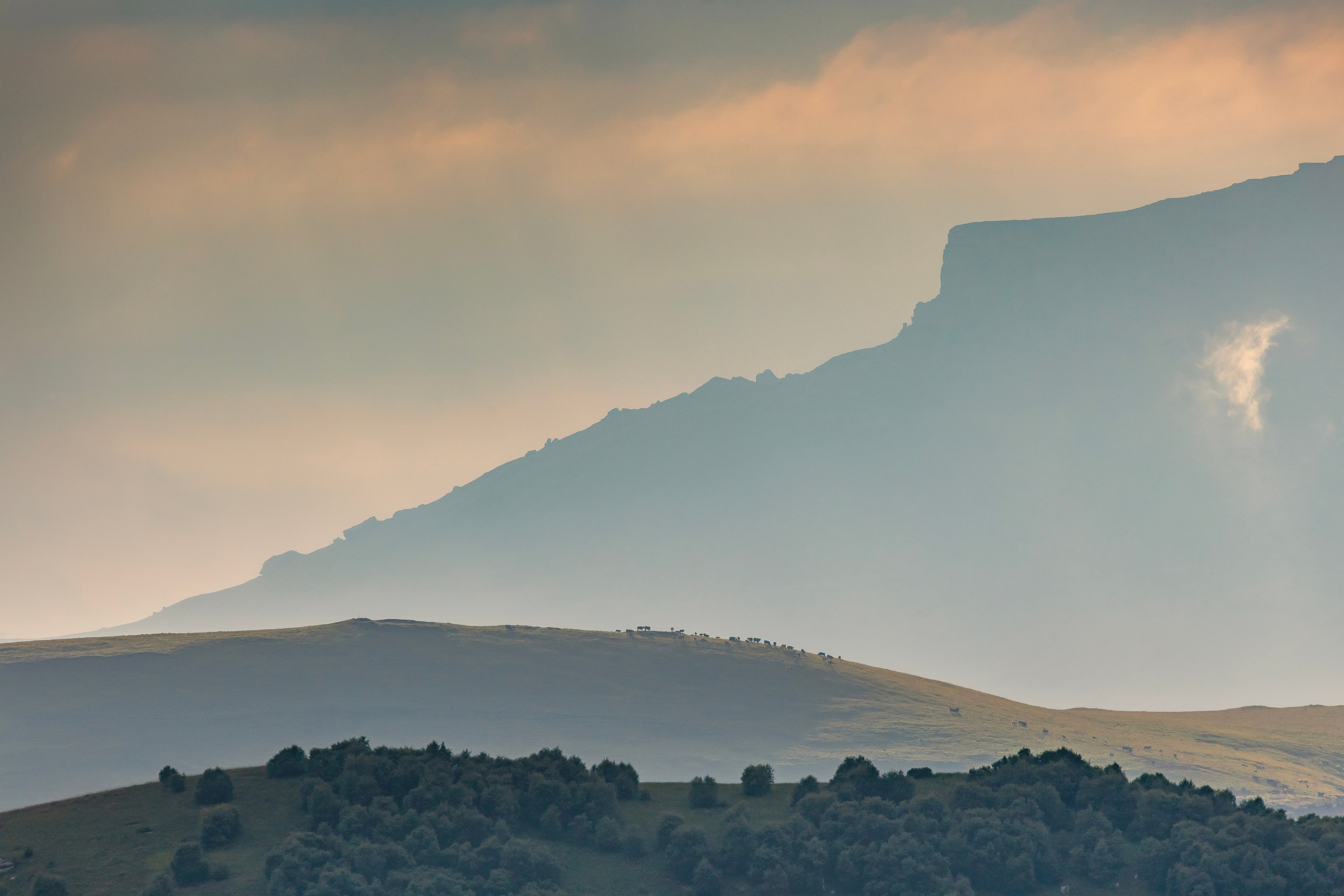 Макс По — фото и видео съемки любого формата