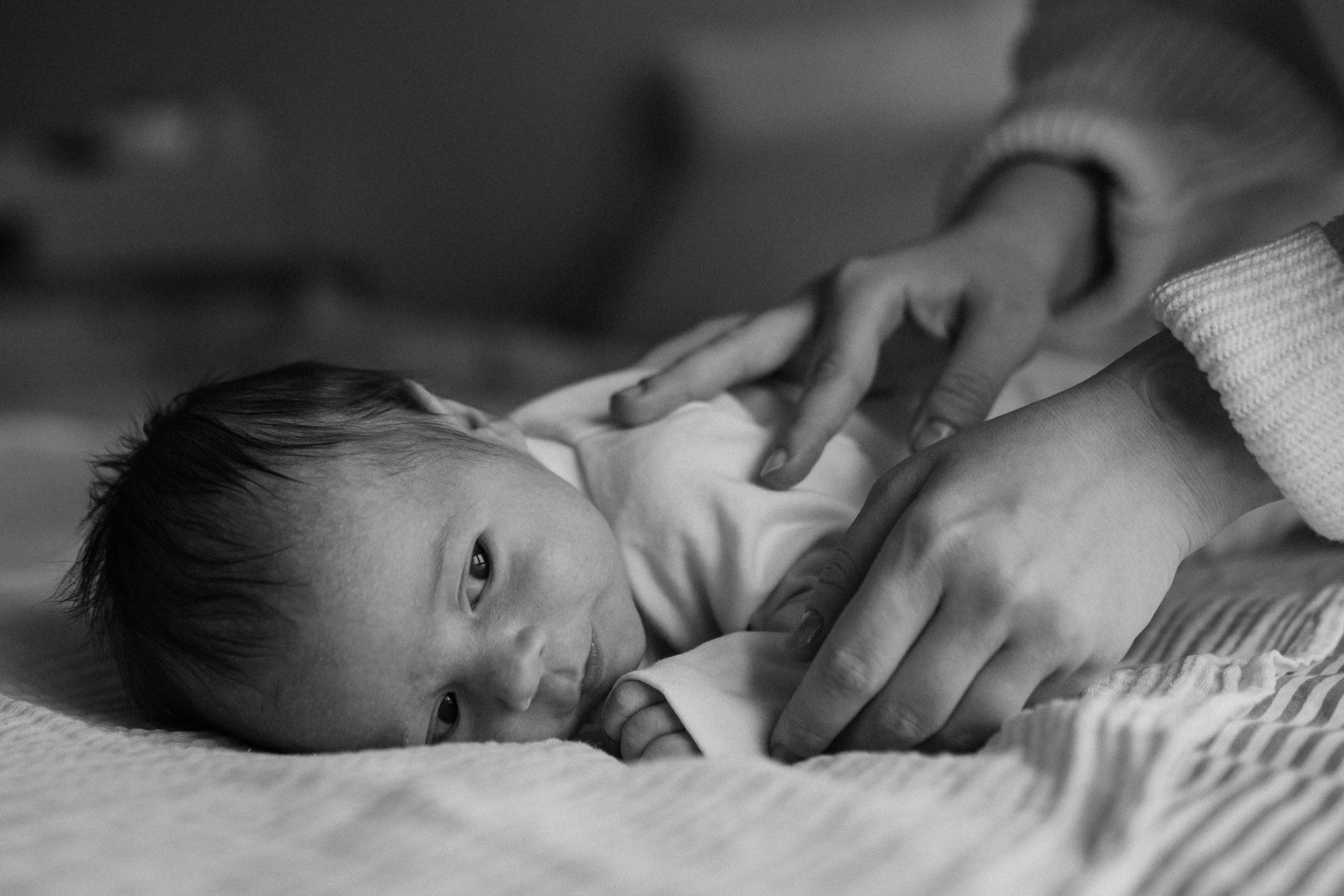 Даша, Ваня, Лео. Семейный фотограф Москва