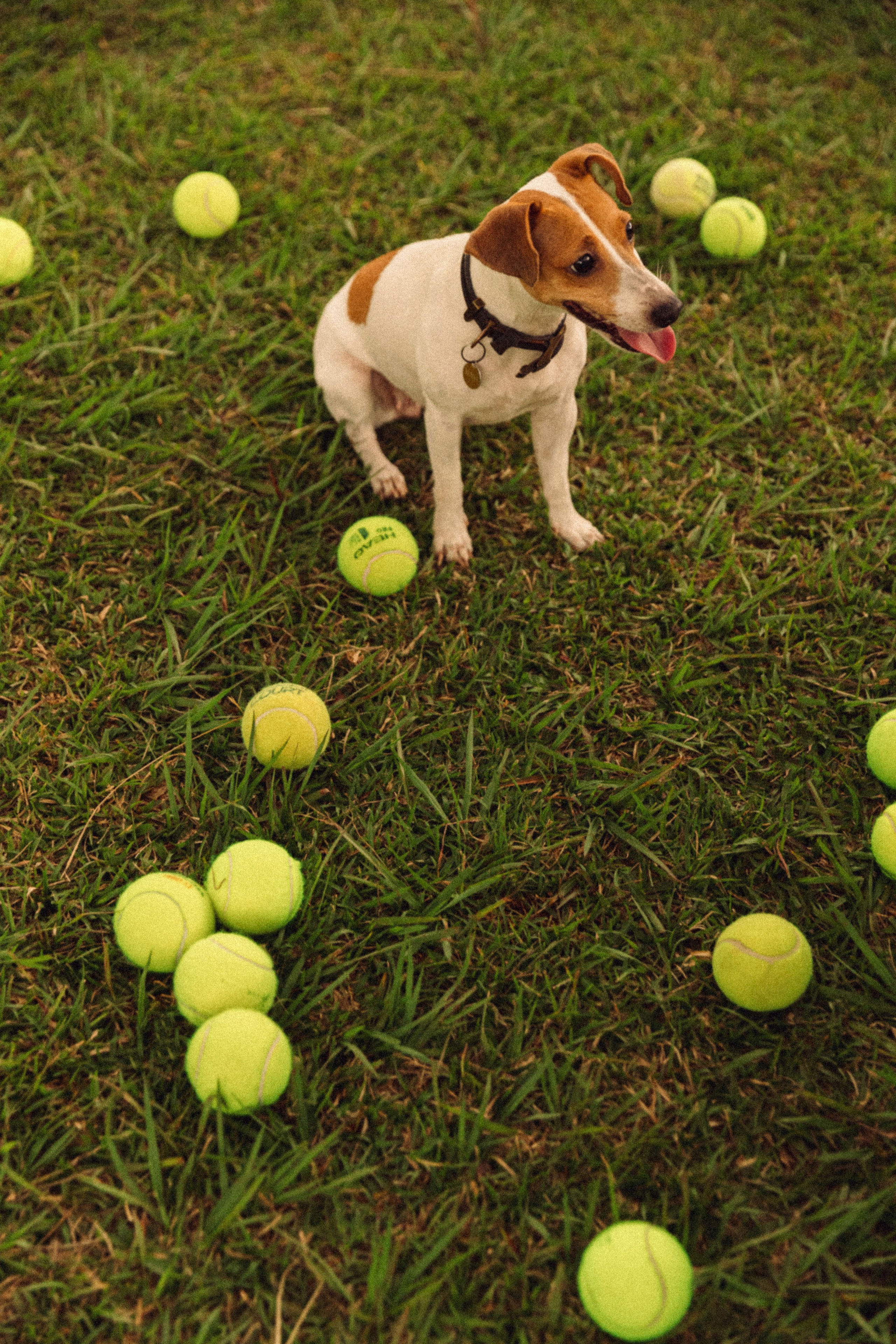 Ульяна и Банни. Портретный фотограф / Панама / Анастасия Елизарова