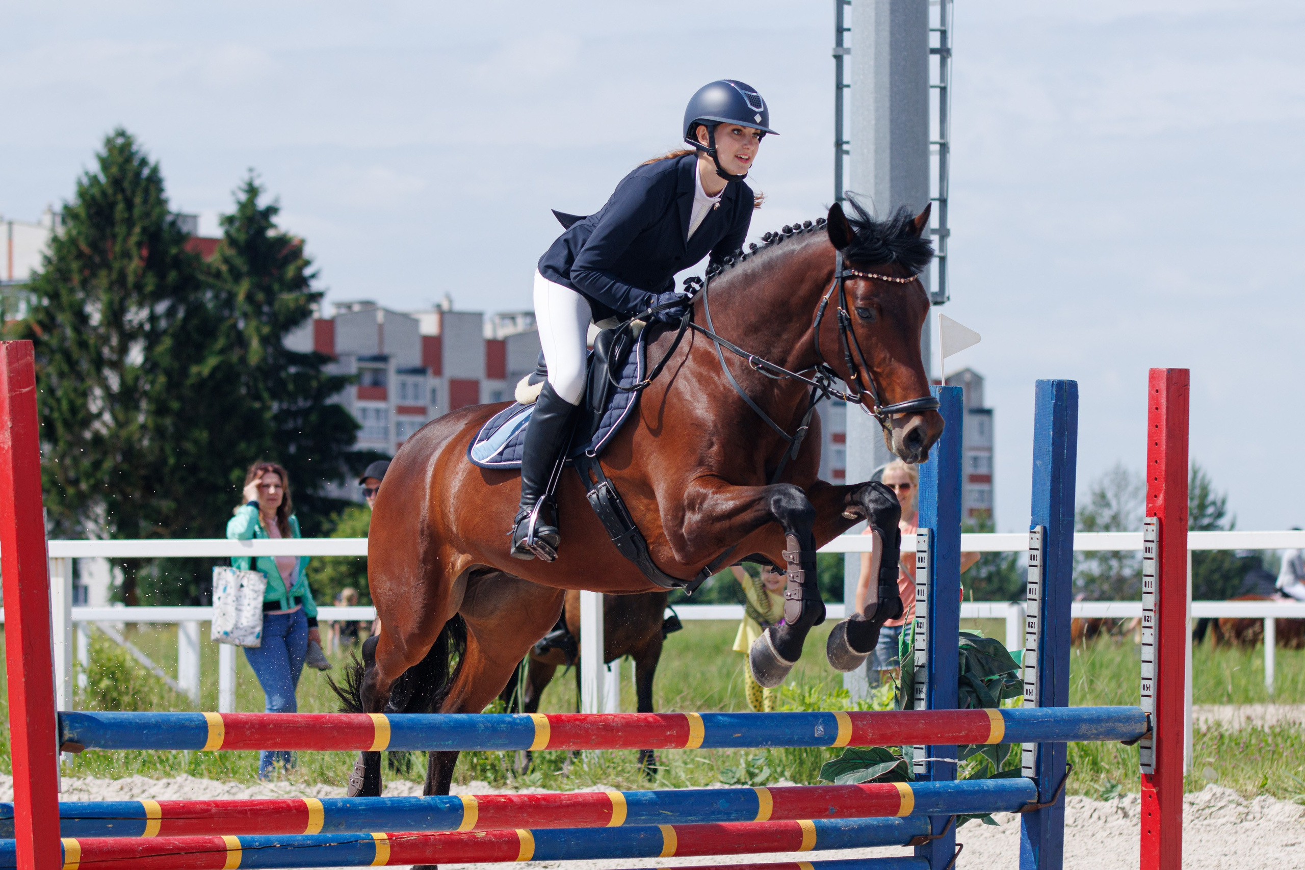 Конный спорт. Спортивный фотограф Вадим Добедченков