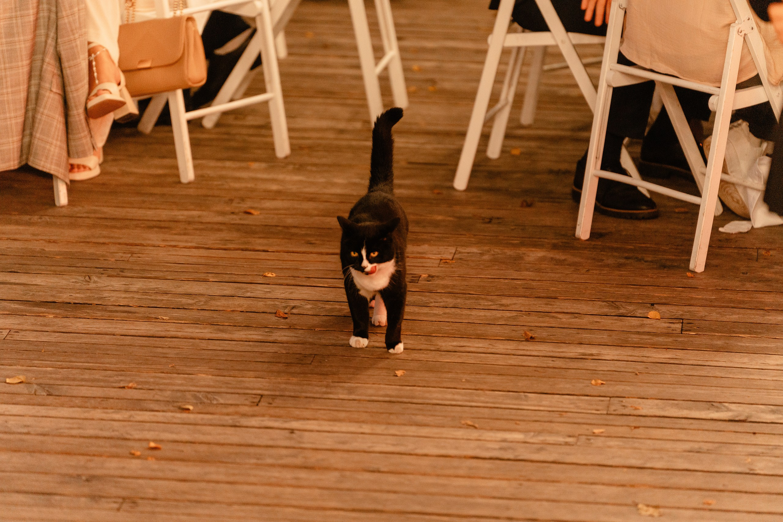 Свадьба Николай Диана. Свадебный Фотограф Казань Челны