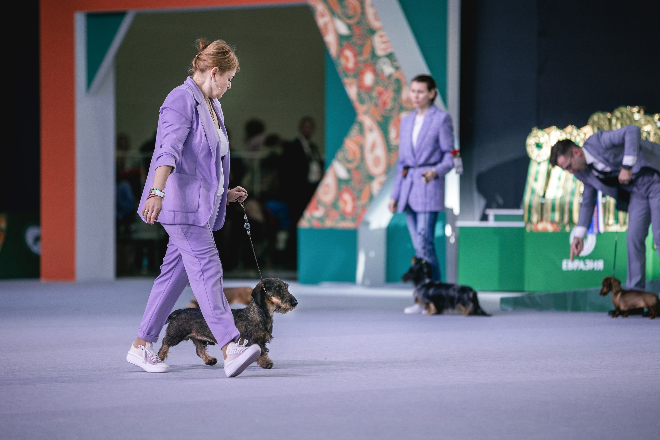 Евразия 2023. Фотограф анималист в Москве Майорова Евгения