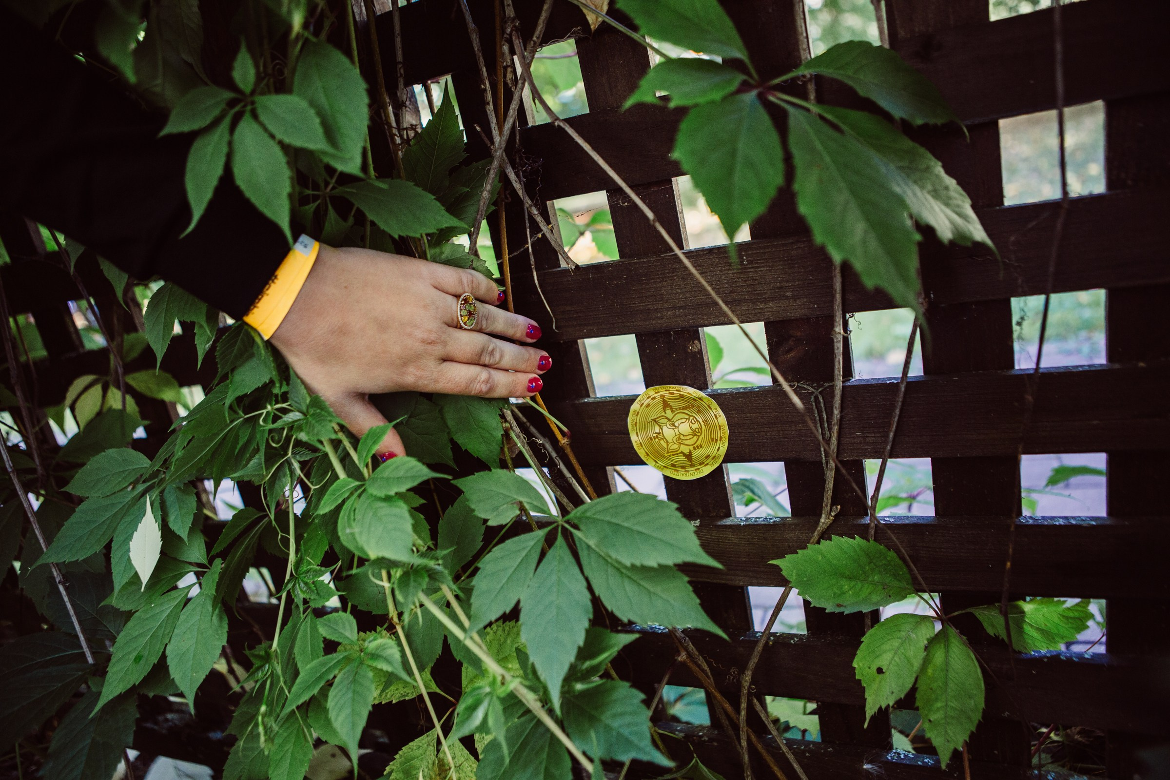 Simbio 15 лет. Главная