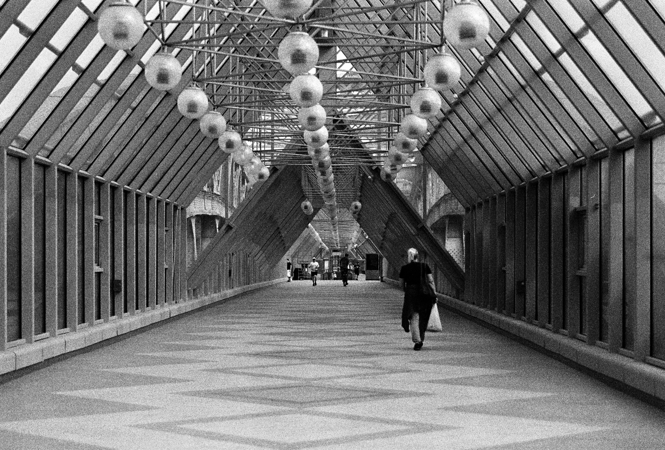 Фотосессии на пленочный фотоаппарат Nikon F6