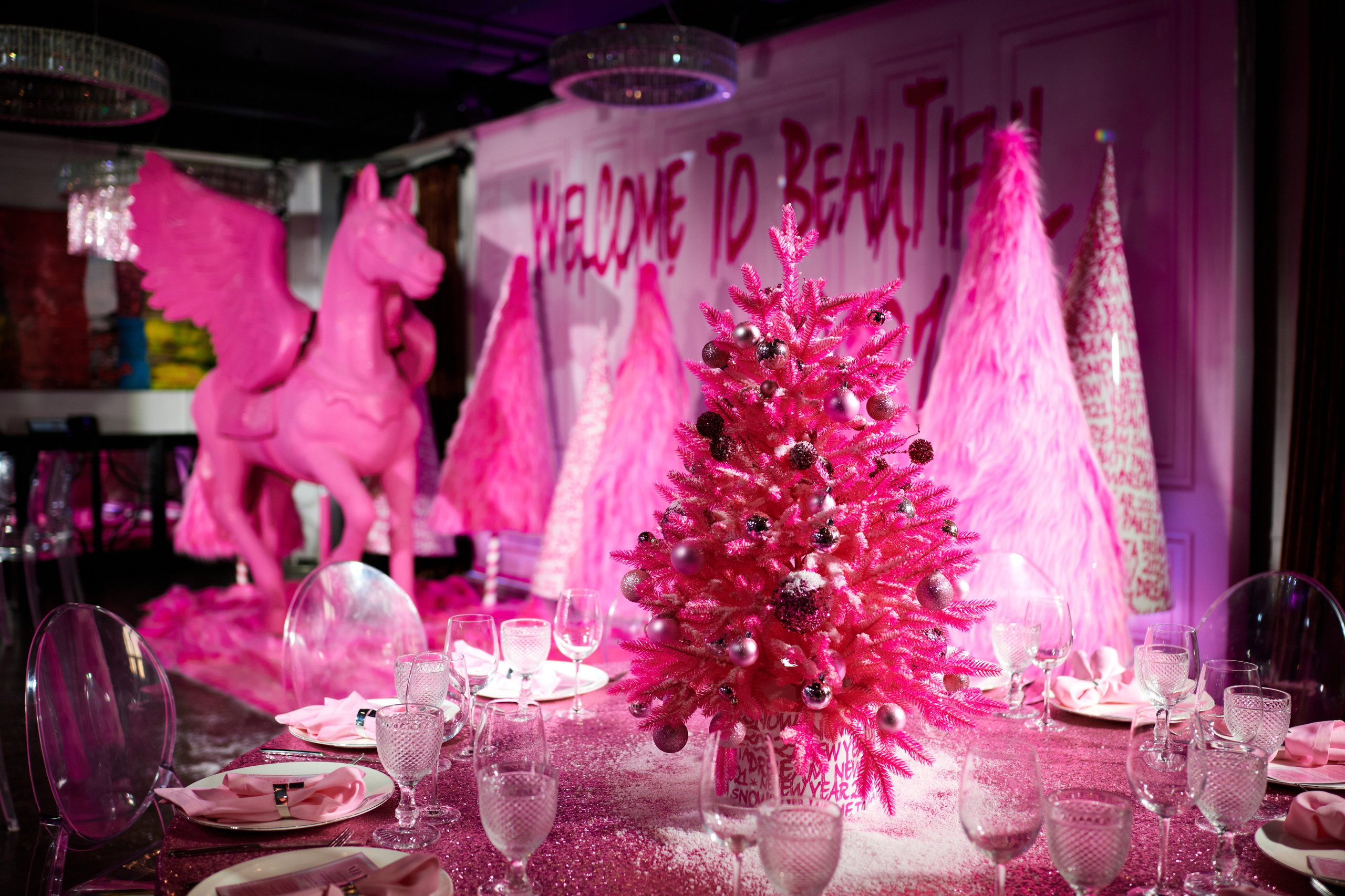 RAKETA 12.12.2020. Фотограф